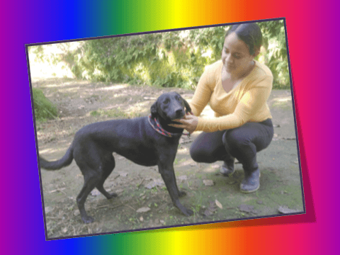 Perla Negra