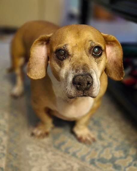 Photo of Ms. Daisy