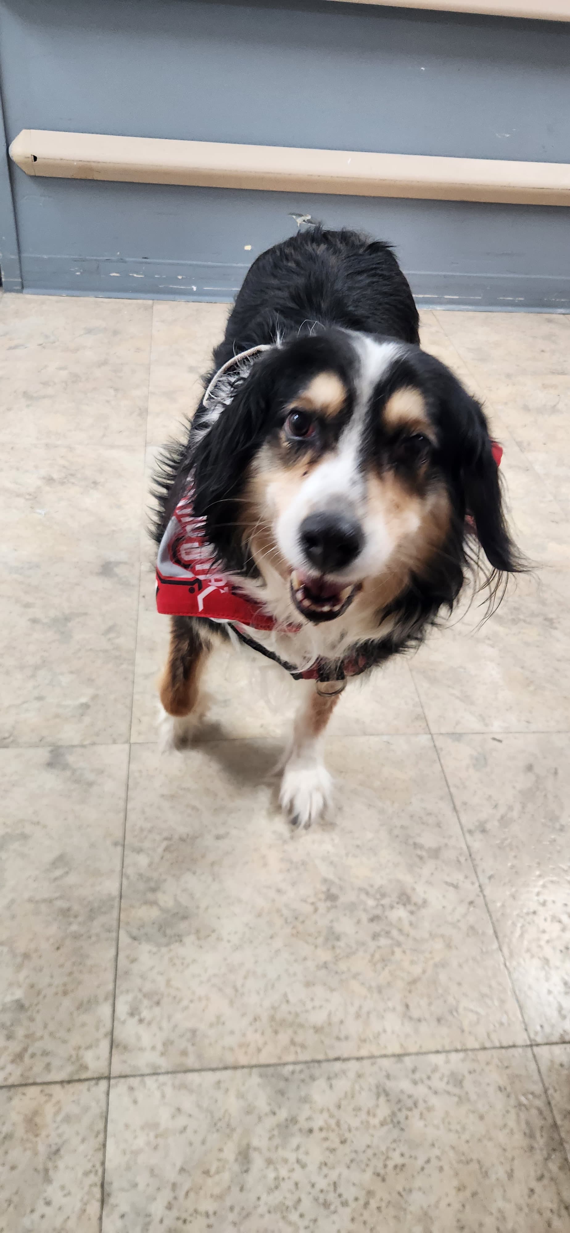 Photo of Myla