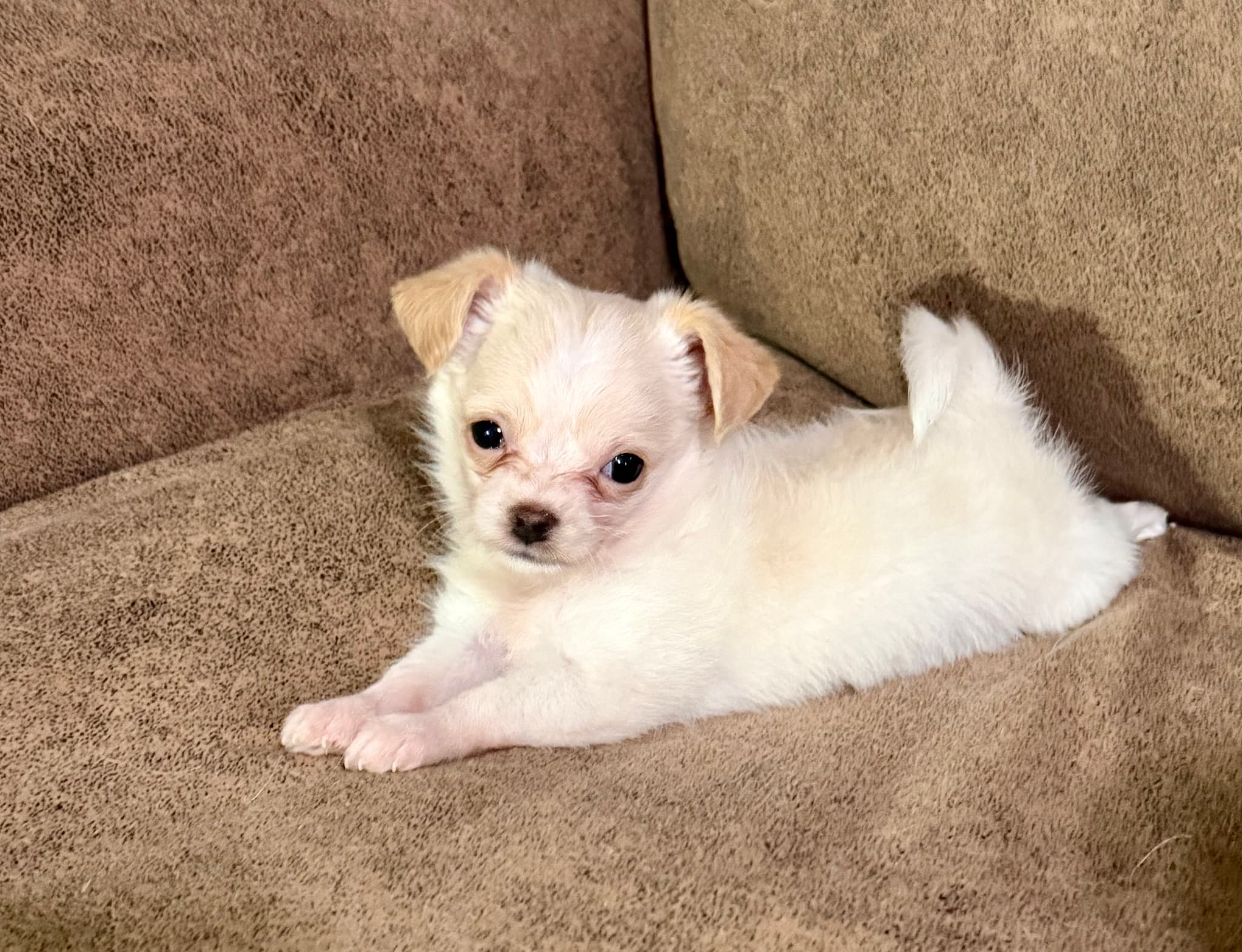 Photo of Lilly Lu
