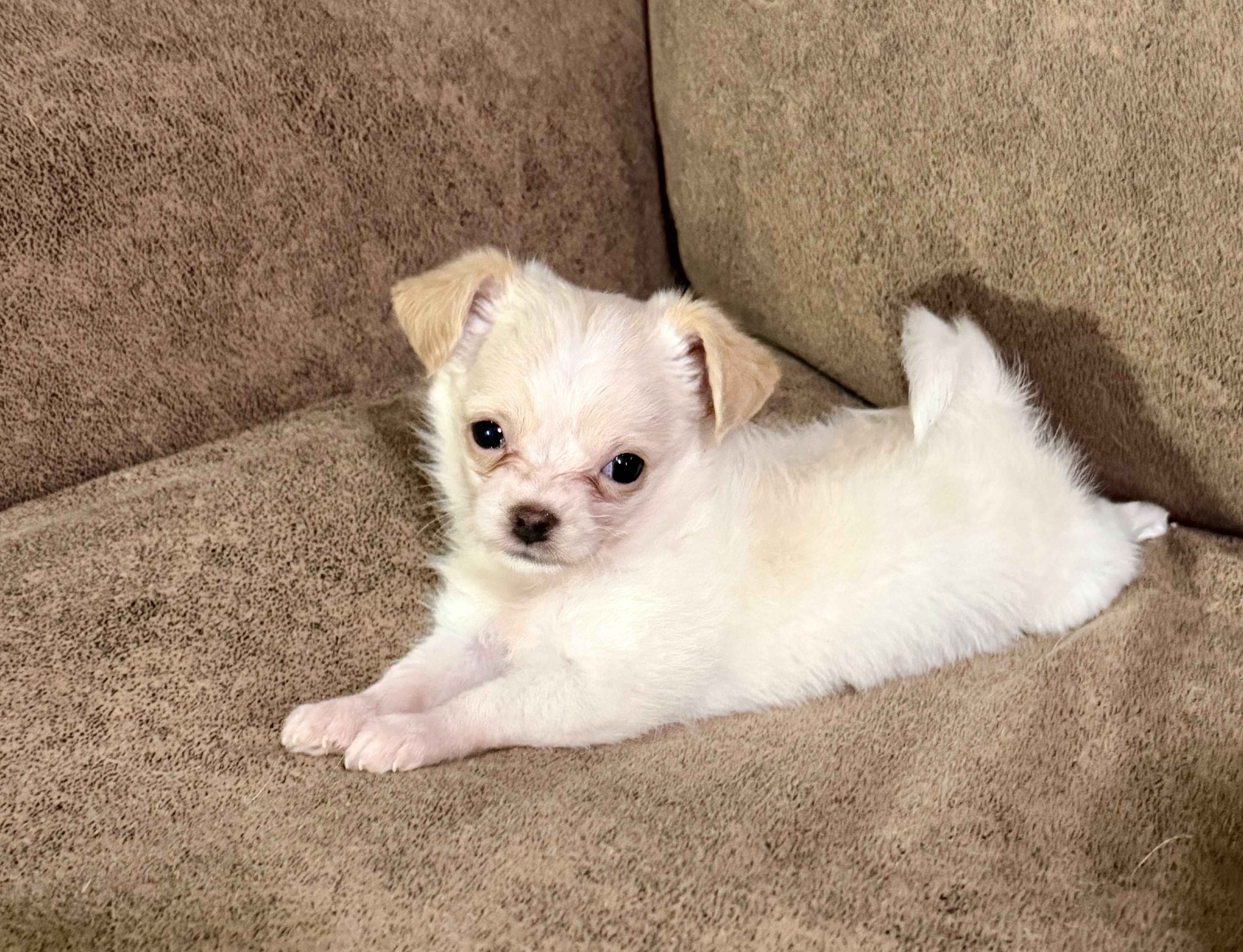 Photo of Lilly Lu