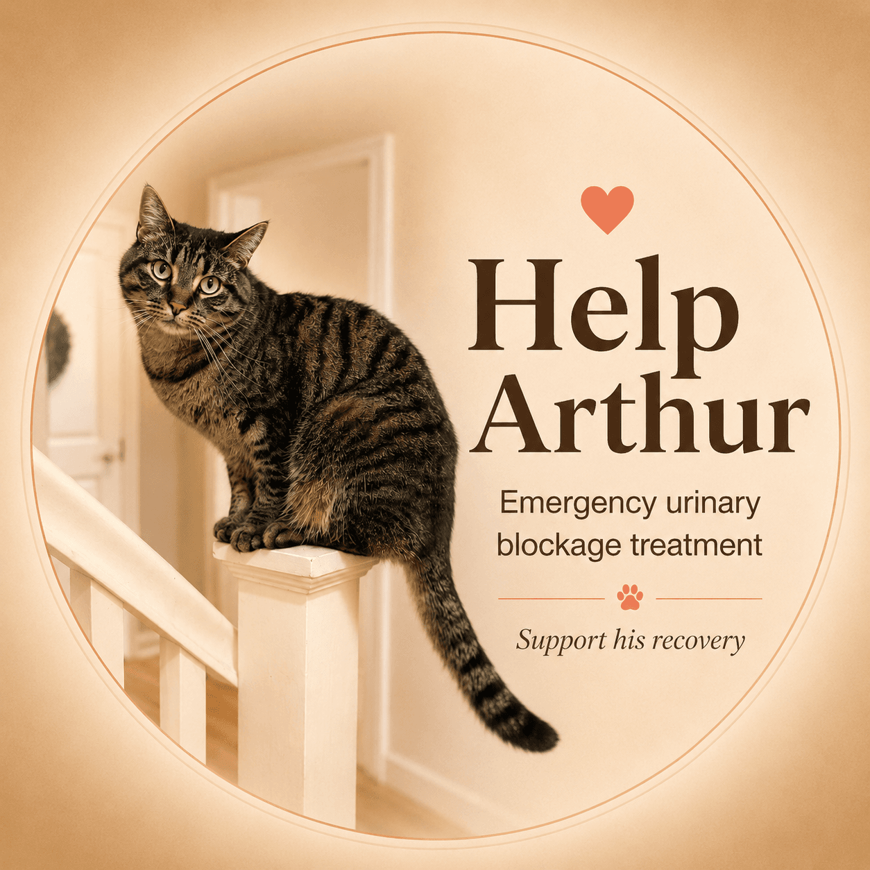 Photo of Arthur