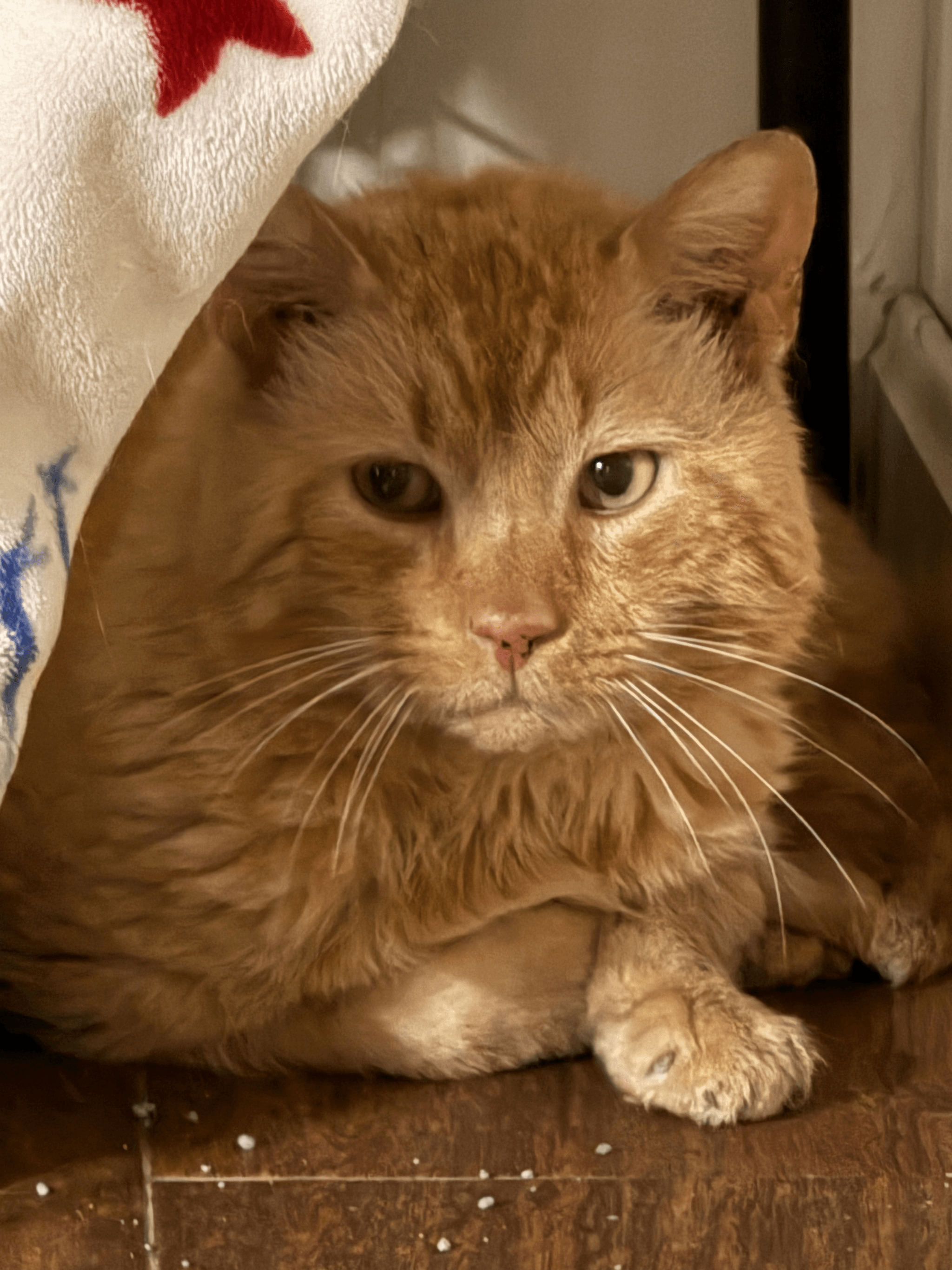 Photo of Stanley