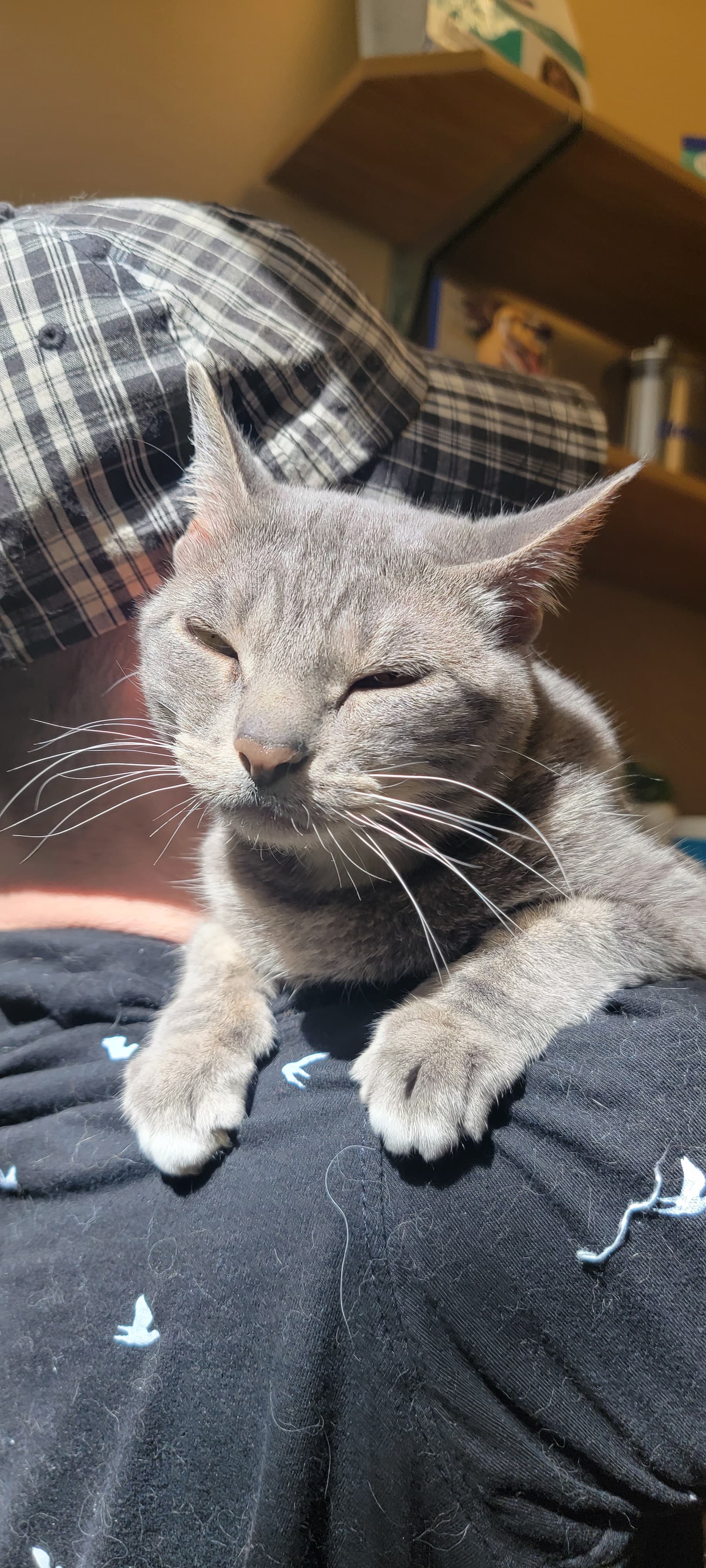 Photo of Zoe