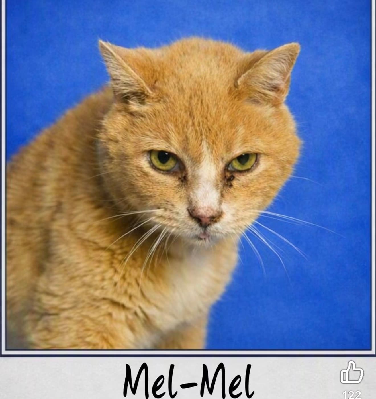 Photo of Mel-mel