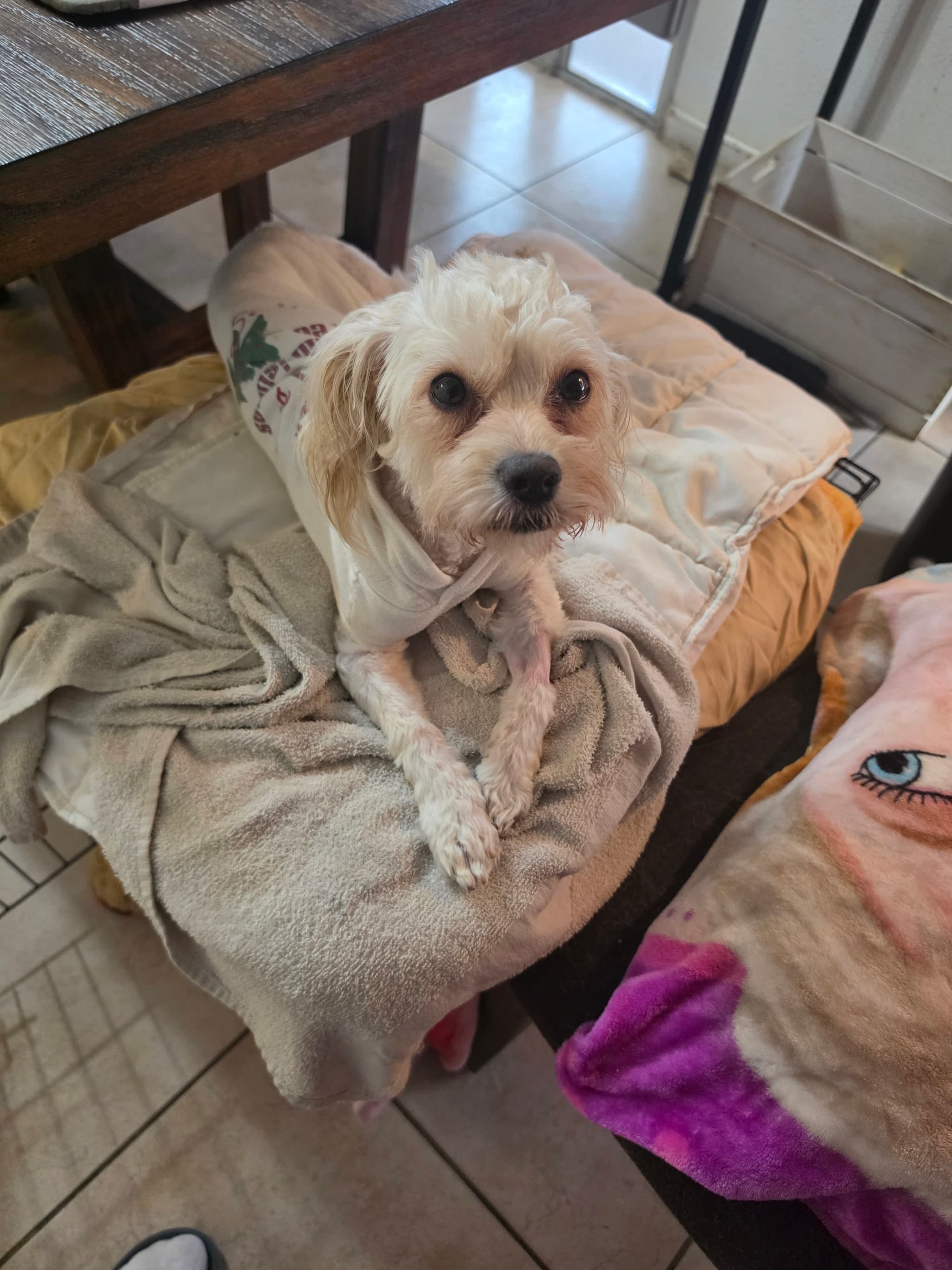 Photo of Honey