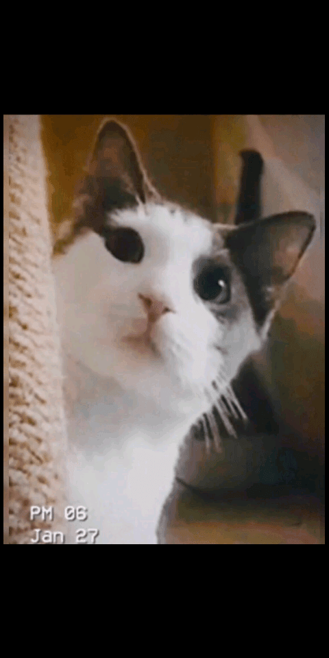 Photo of Julez