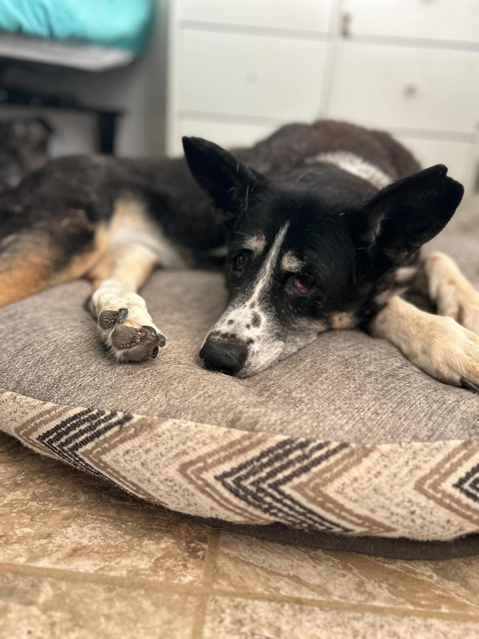Photo of Katie