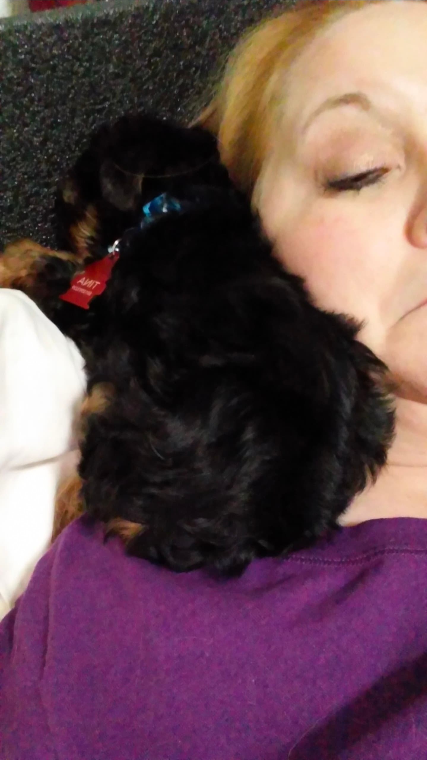Photo of Coco Puff