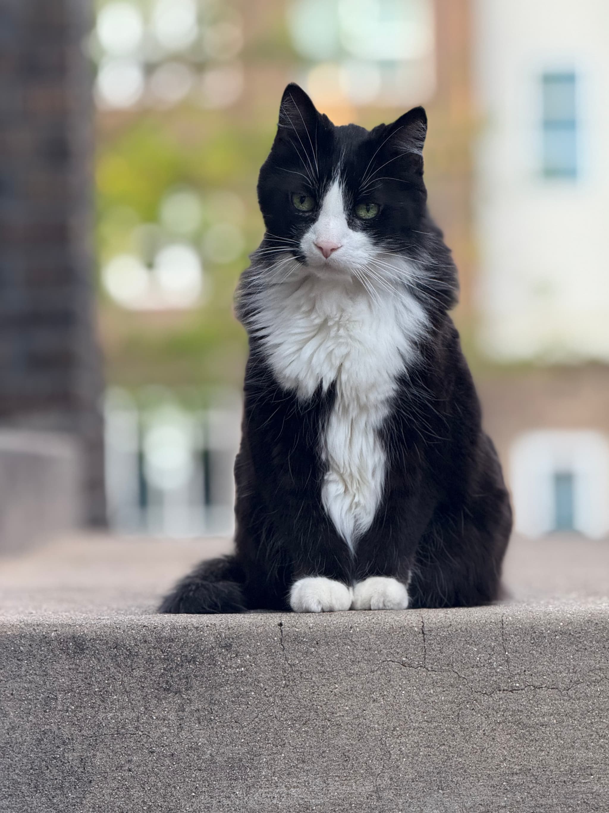Photo of Melvin