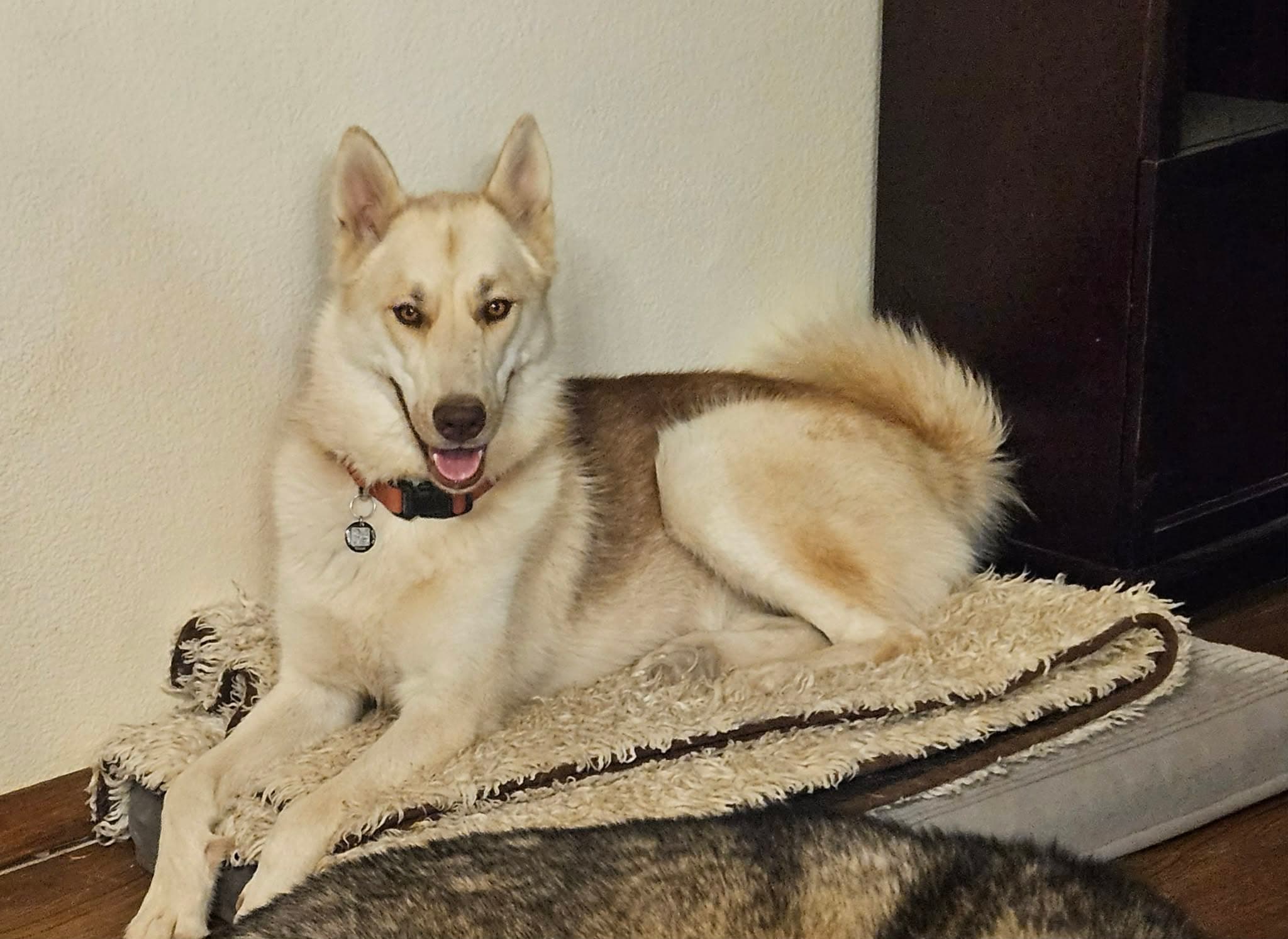Photo of Jolene