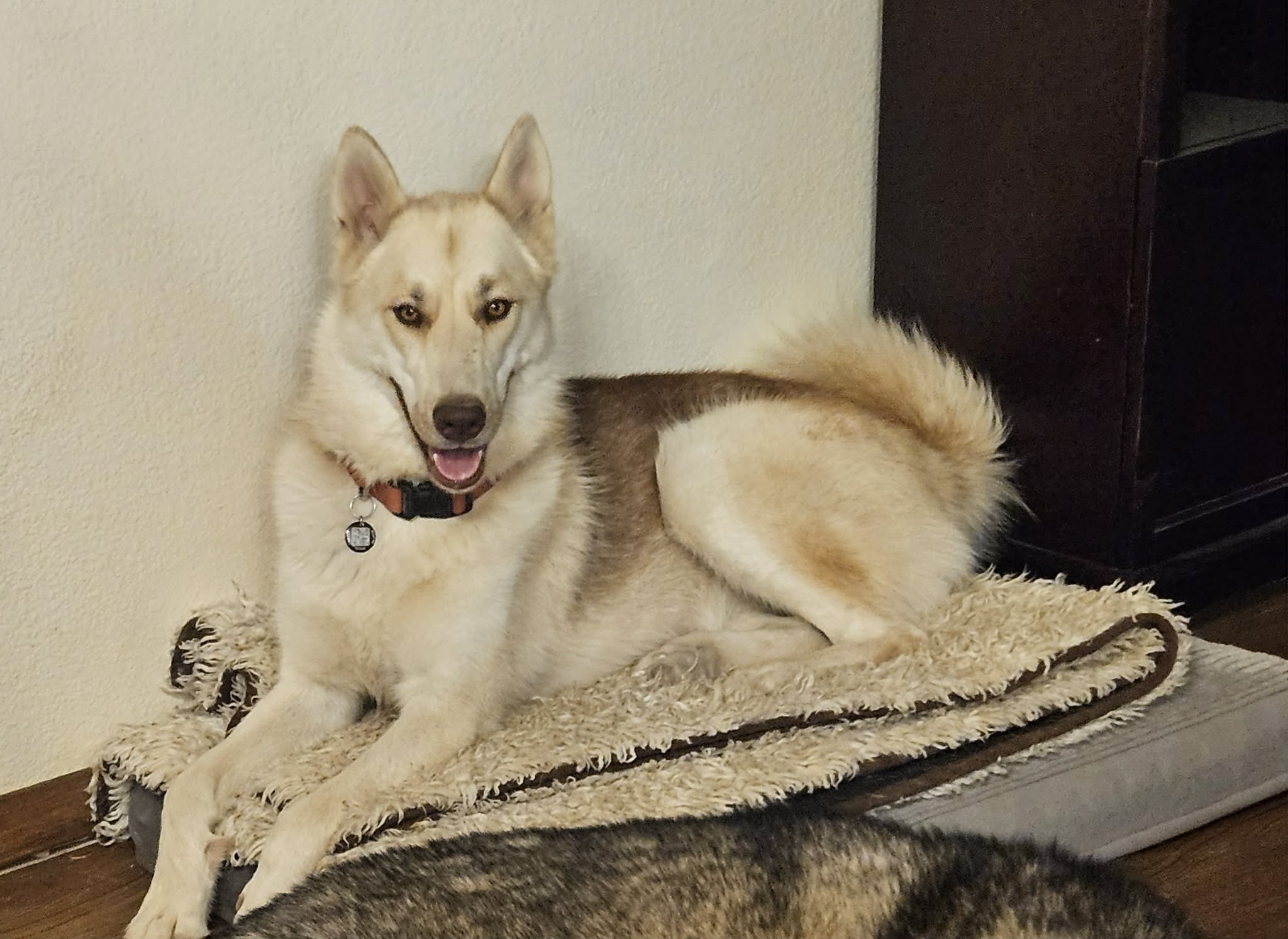 Photo of Jolene