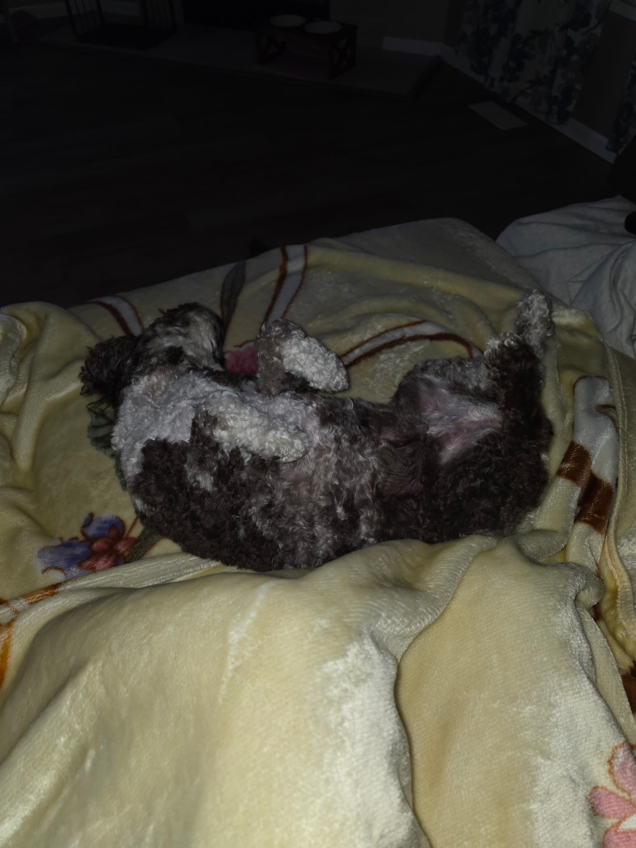 Photo of Hazel