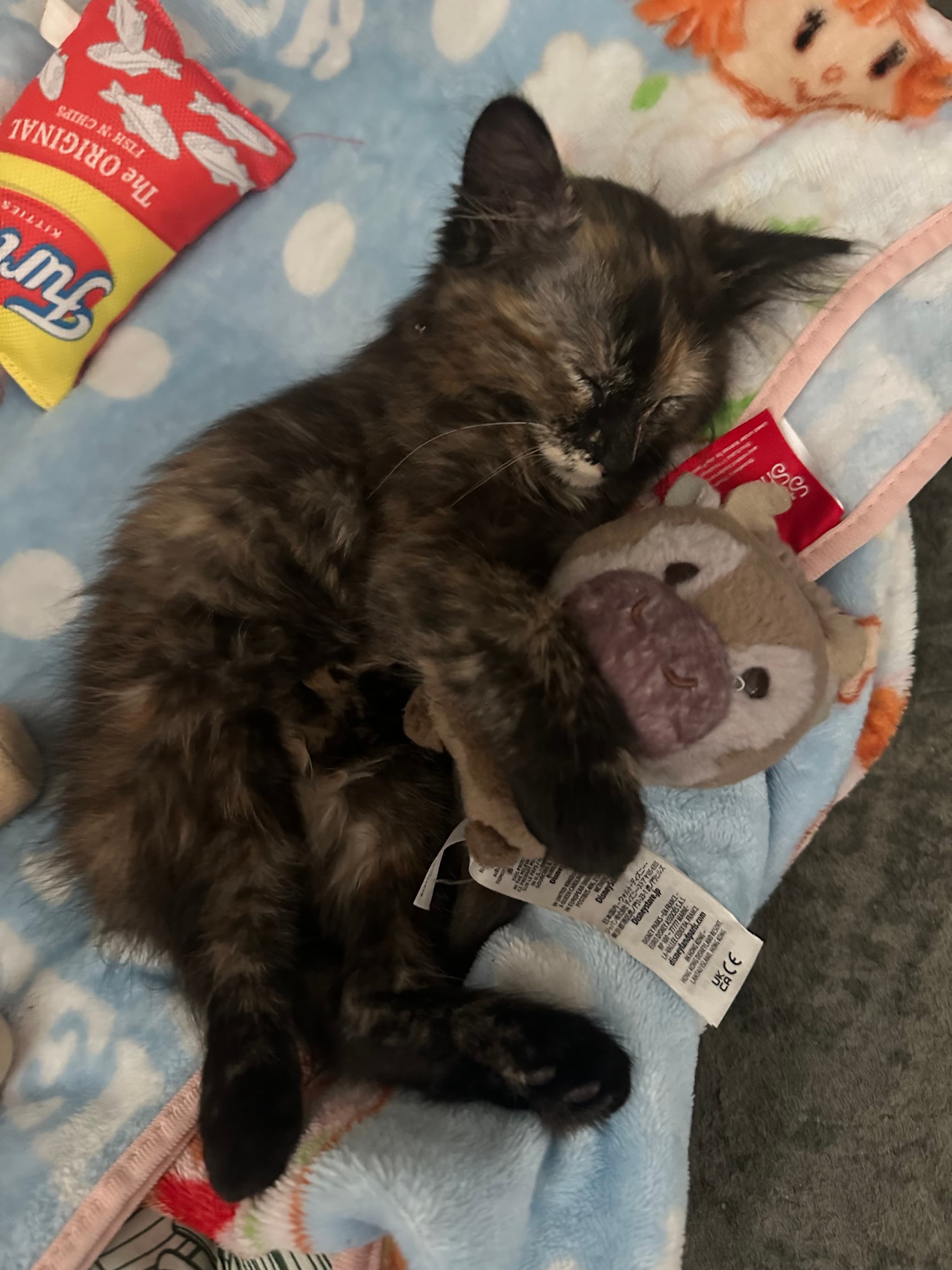 Photo of Polly