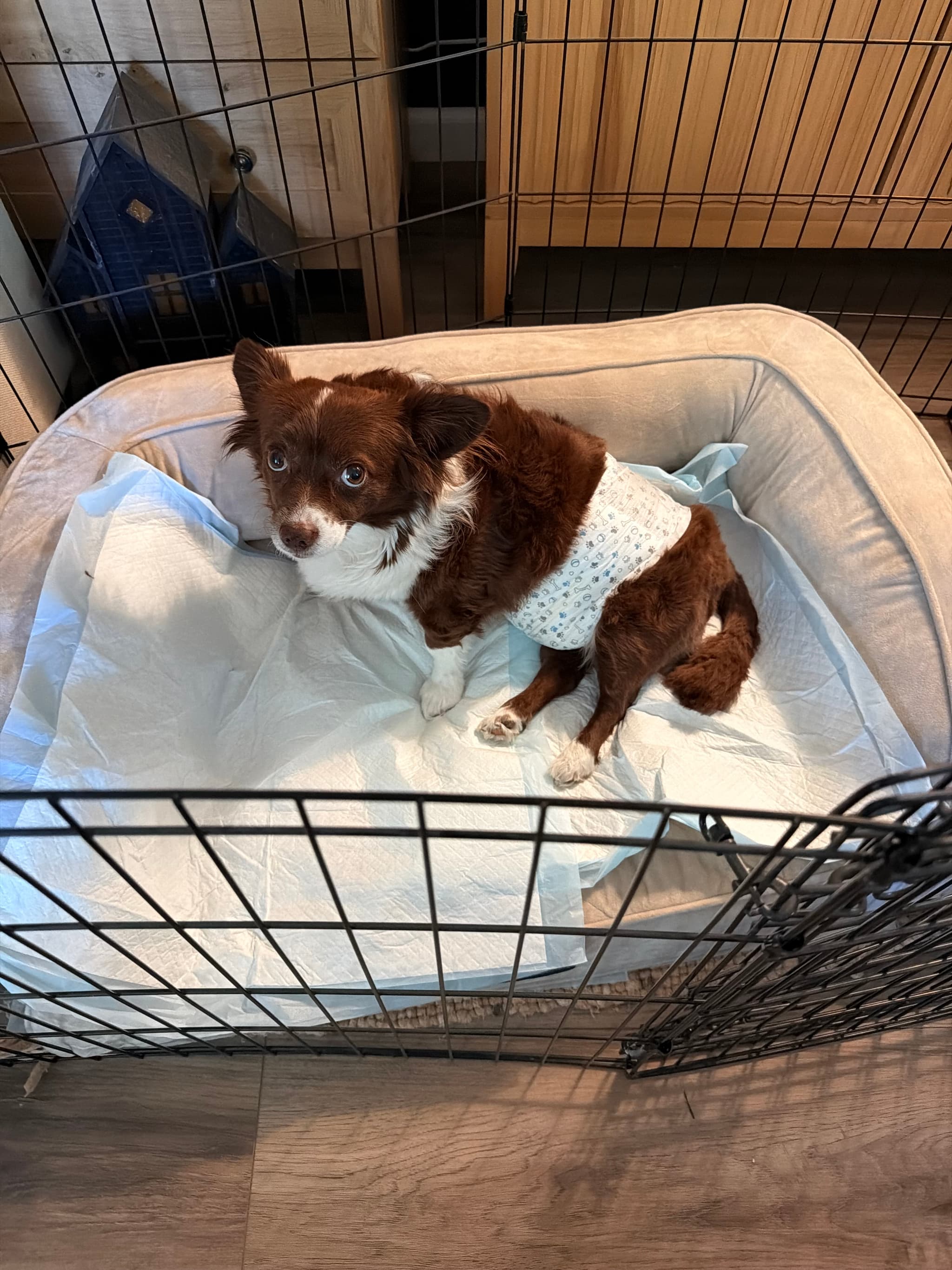 Photo of Charlie