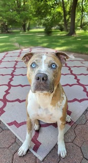 Photo of Rune