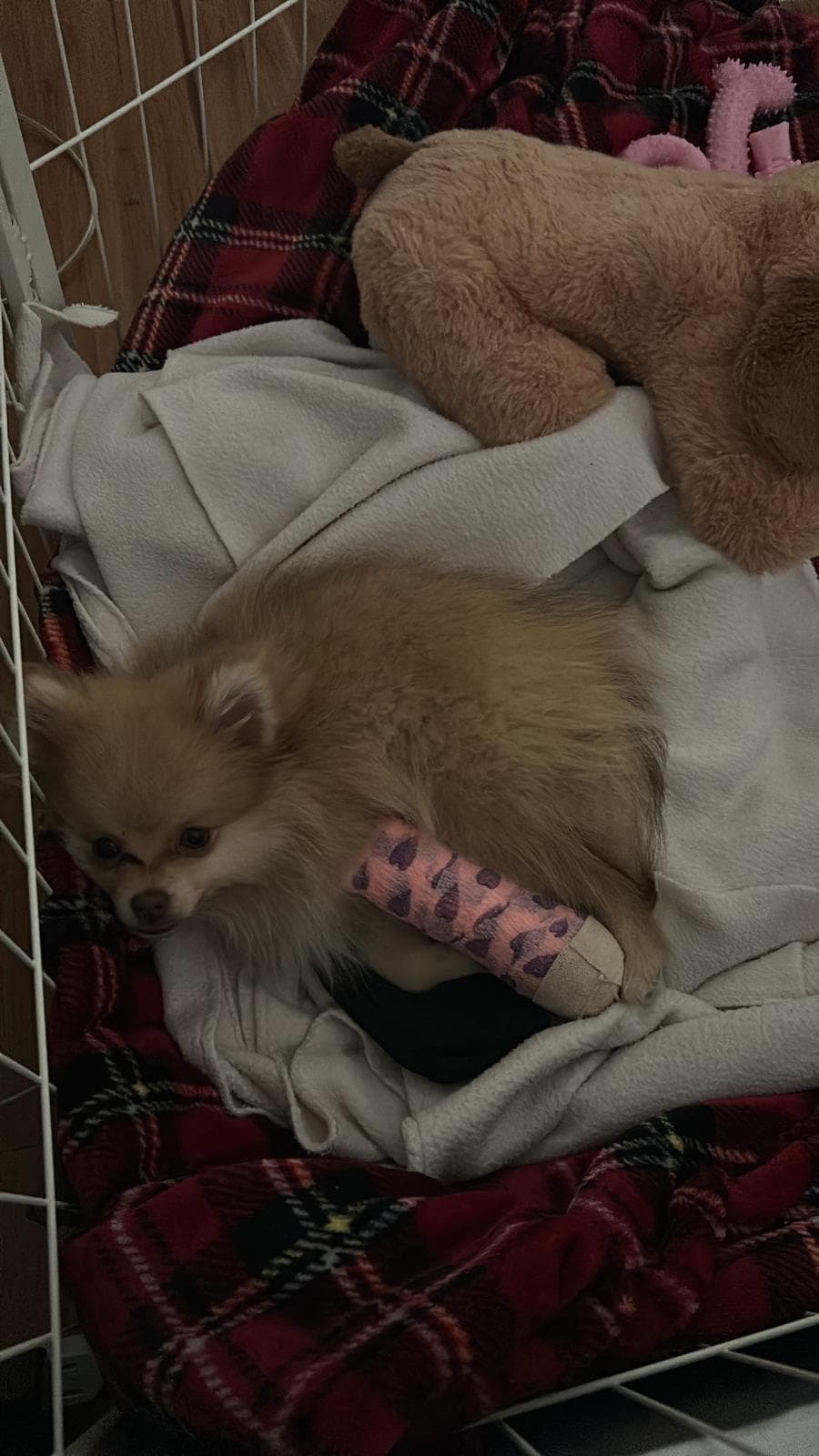 Photo of Milly