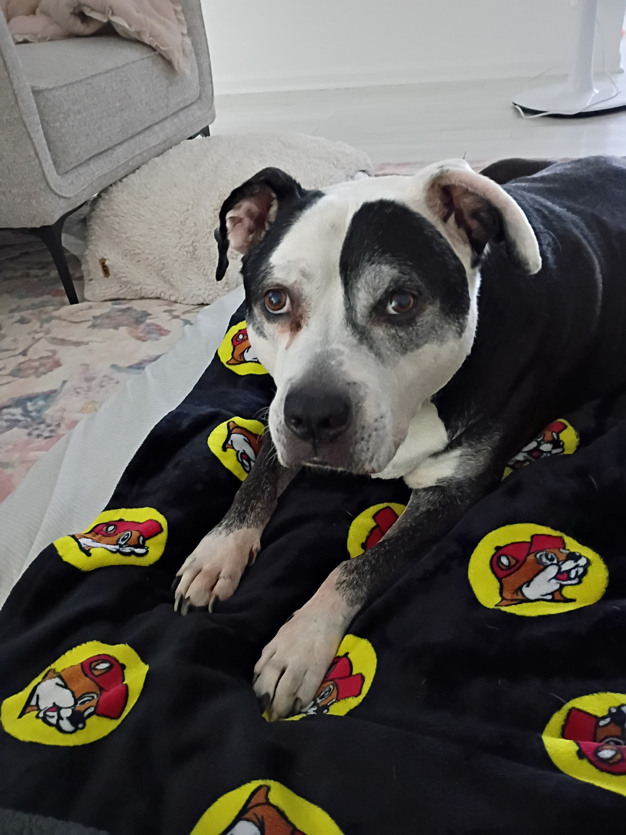 Photo of Bubba
