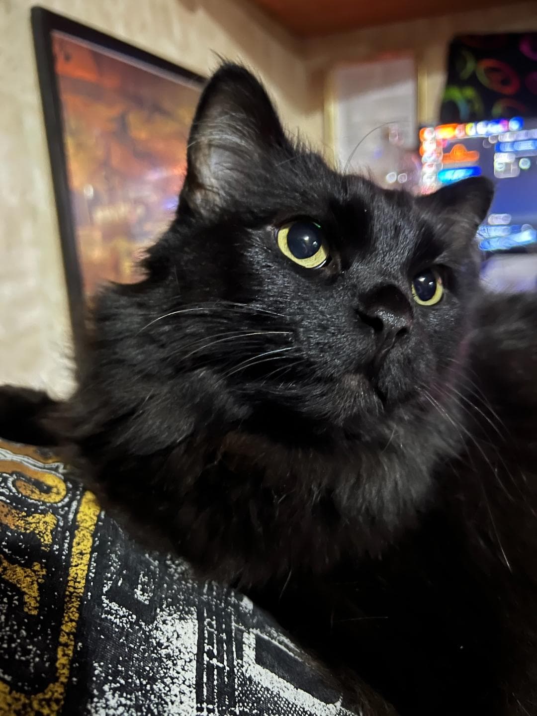 Photo of Eris