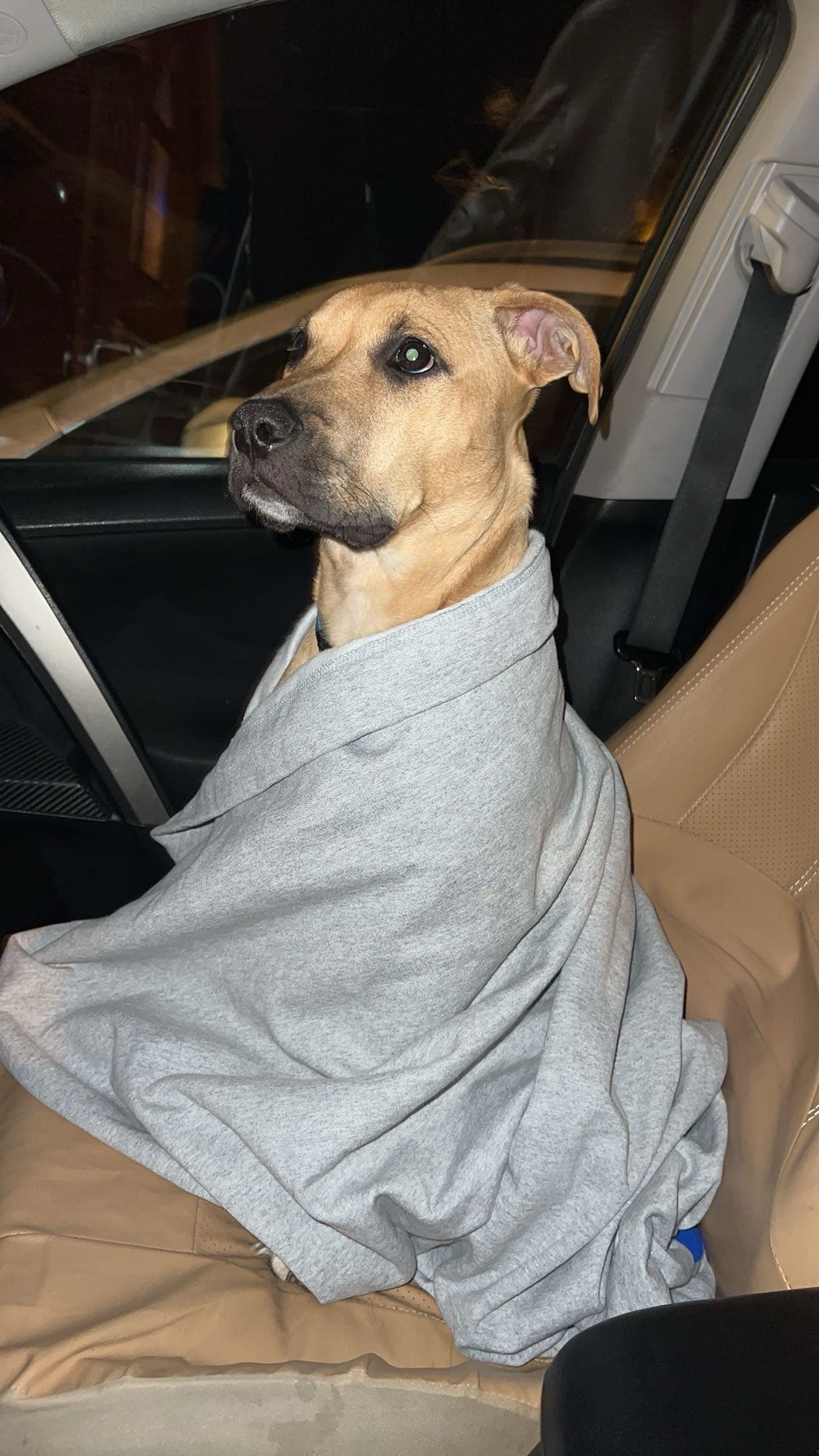 Photo of Ace