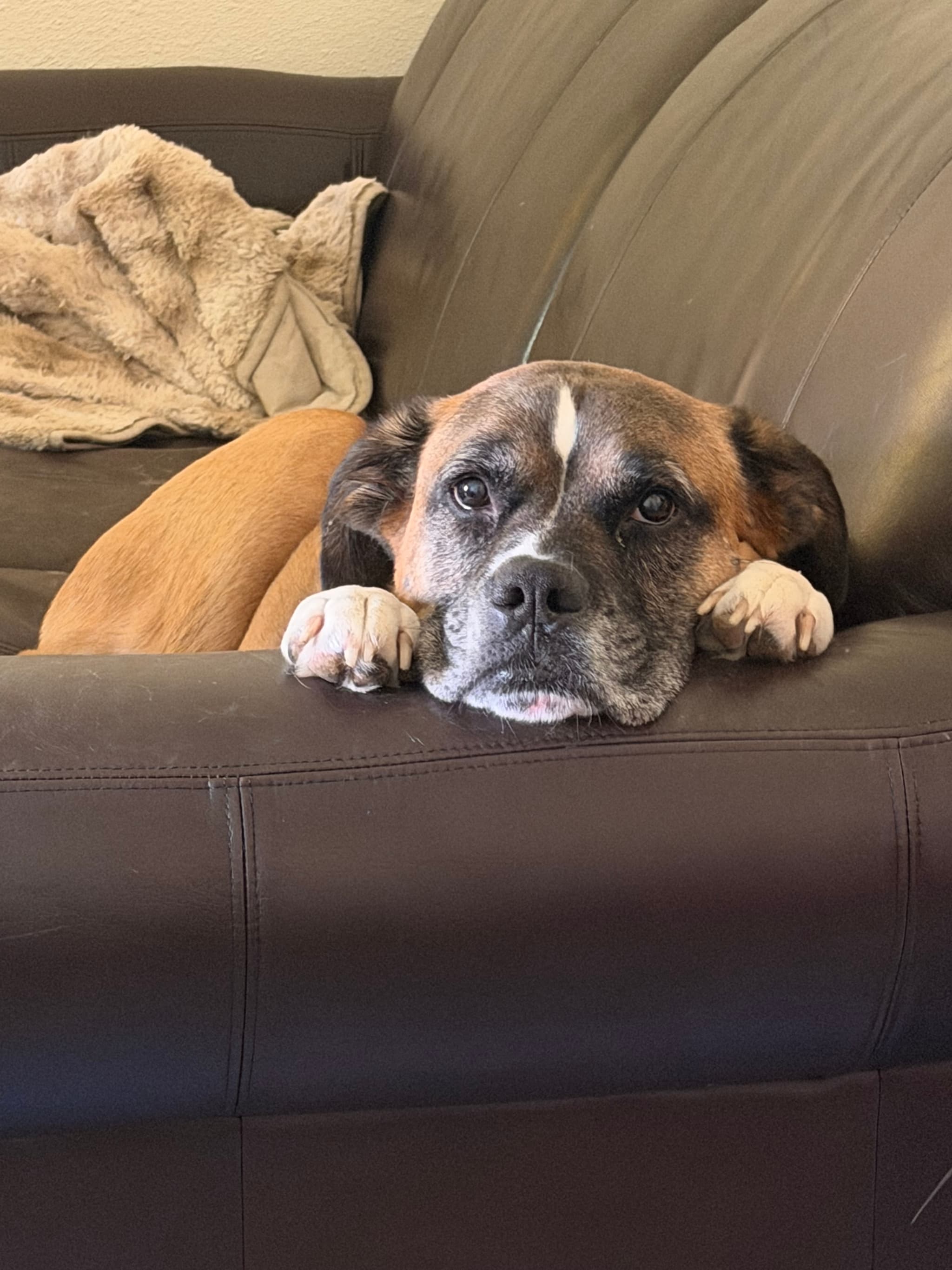 Photo of Mookie