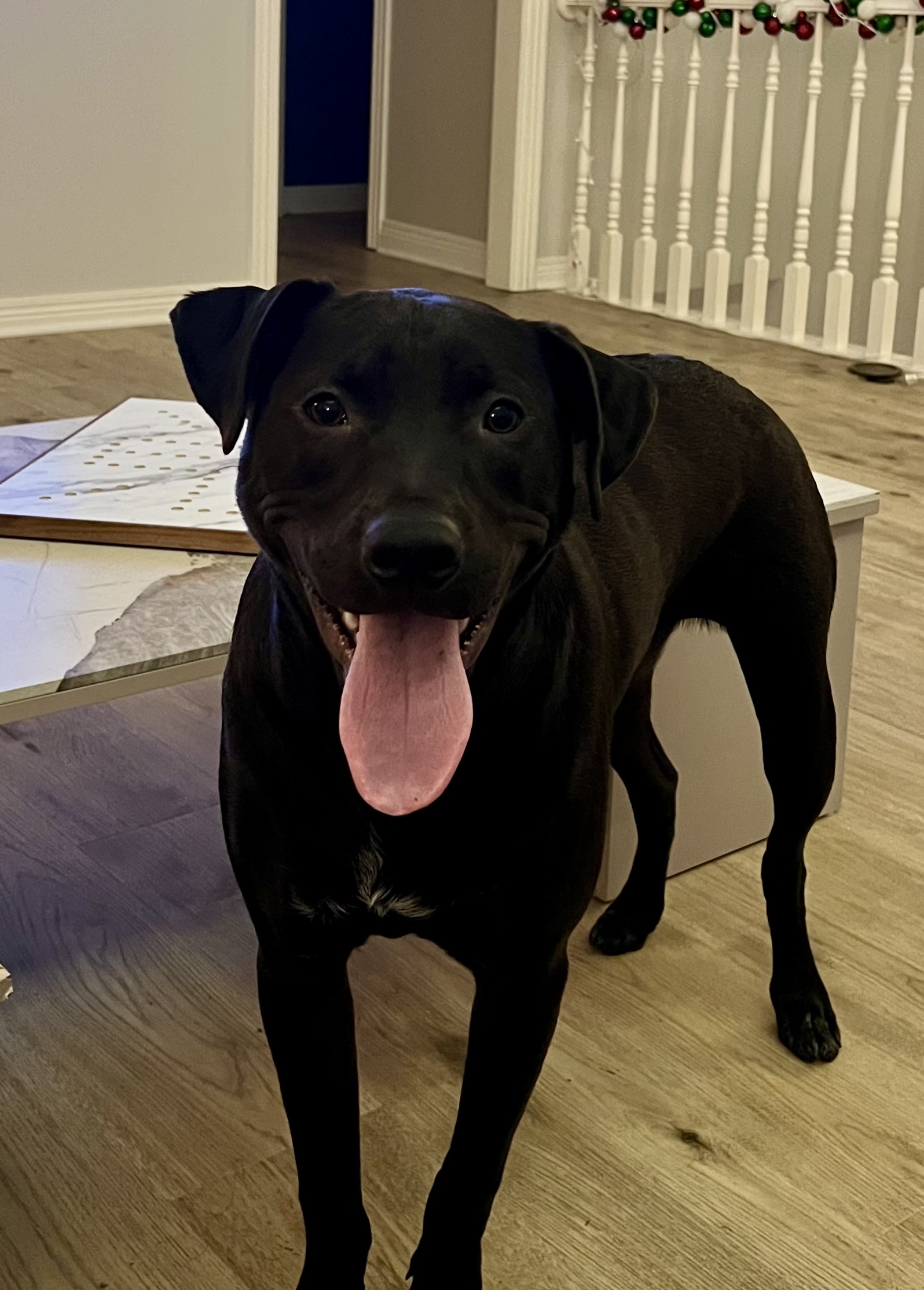 Photo of Max