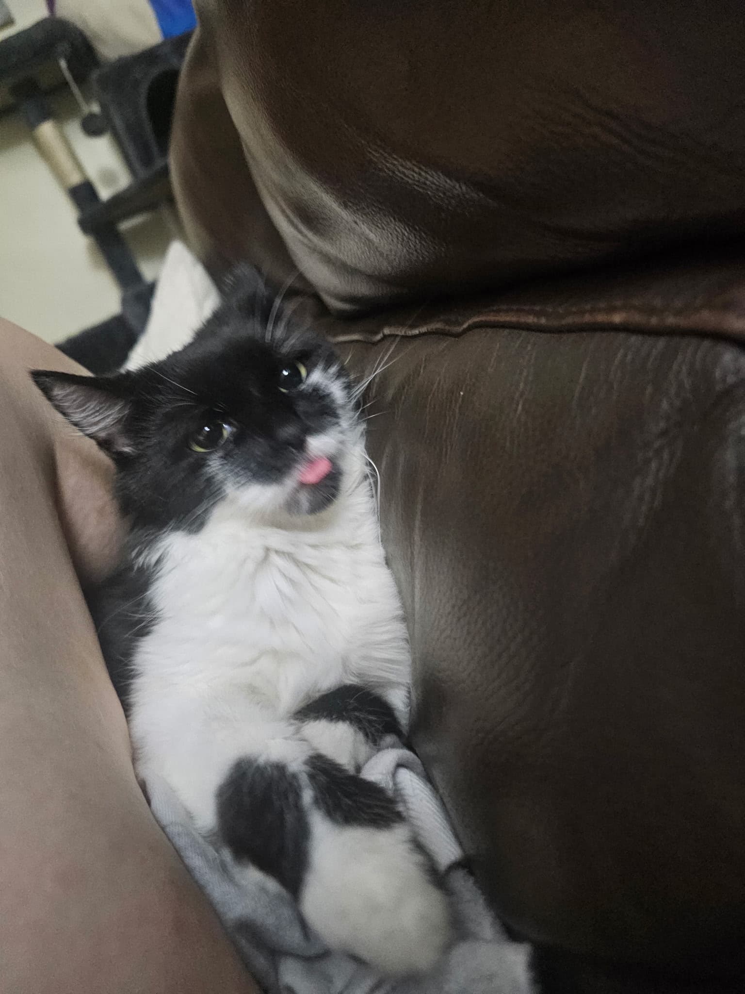 Photo of Baby