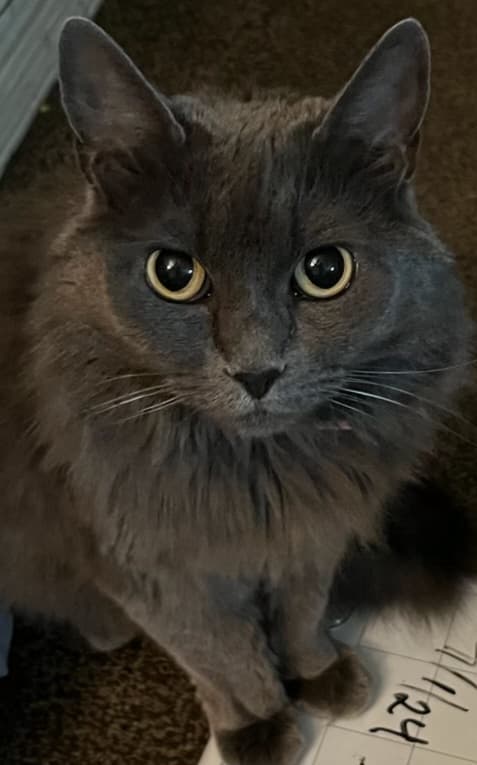 Photo of Zoey