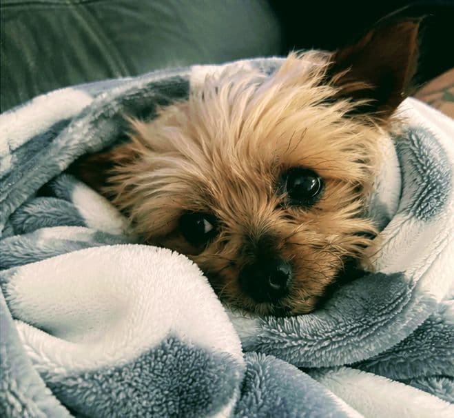 Photo of Precious