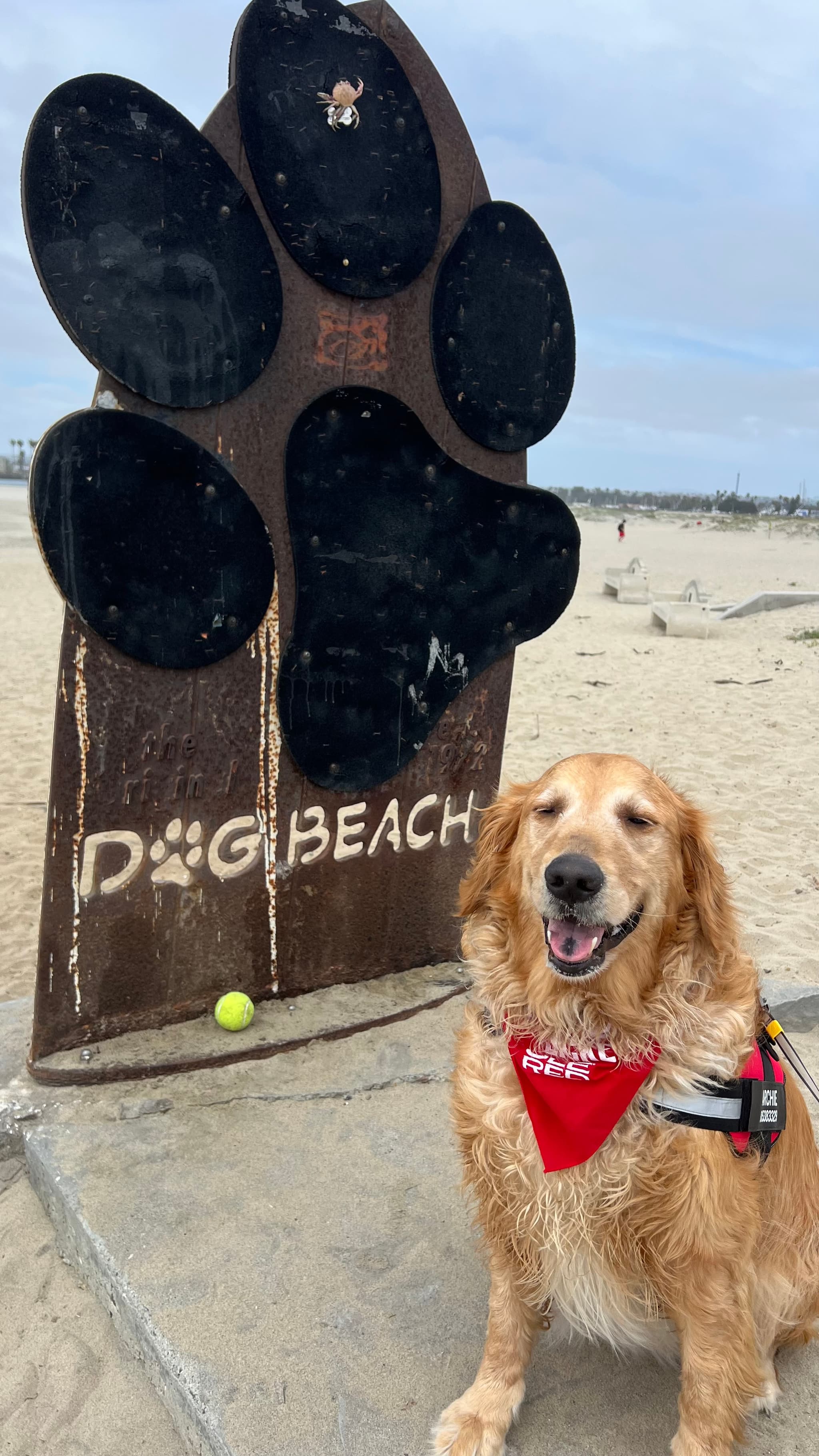 Photo of Archie