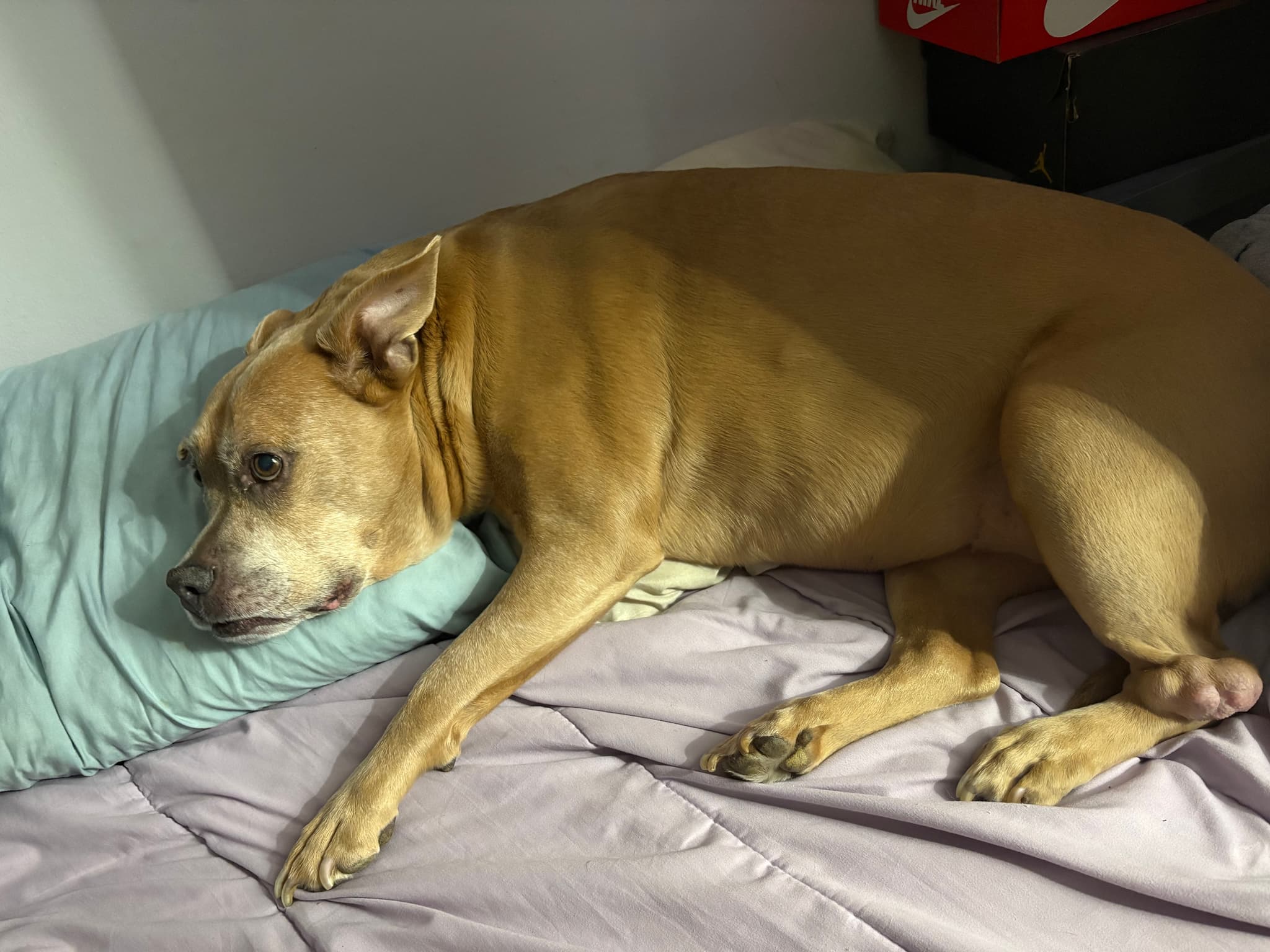 Photo of Stormy