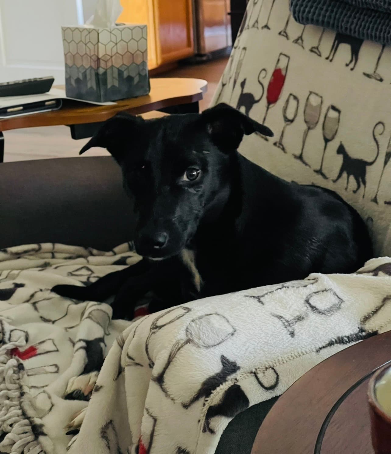 Photo of Lucy