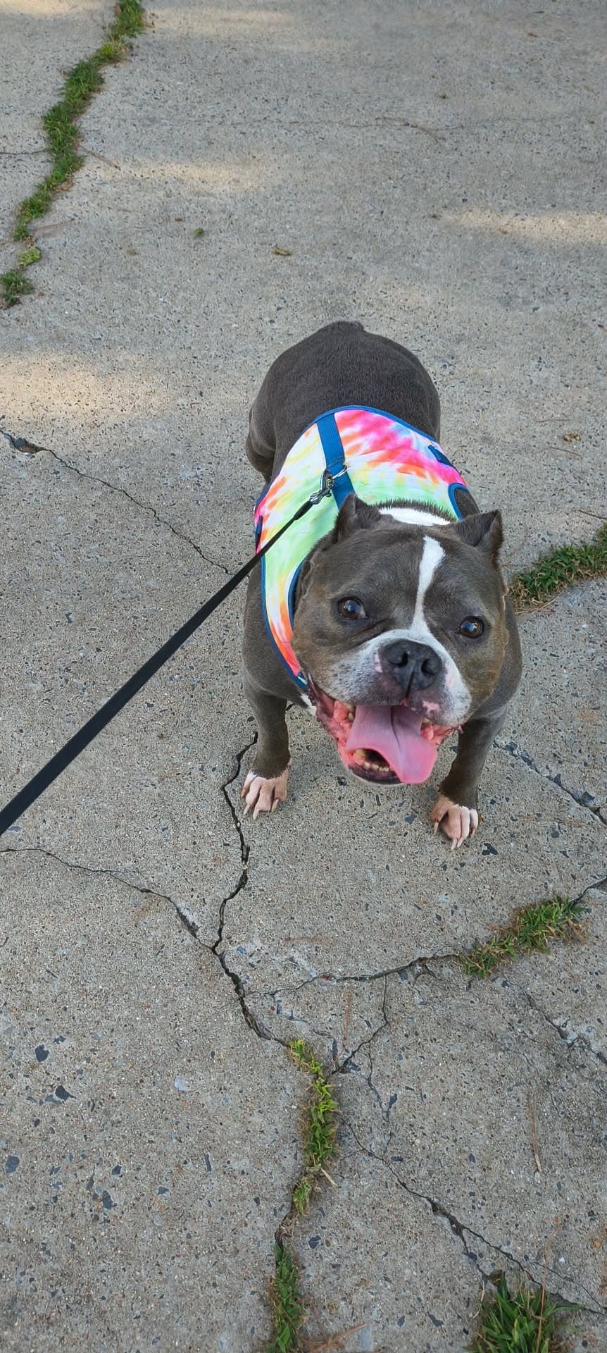 Photo of Leia