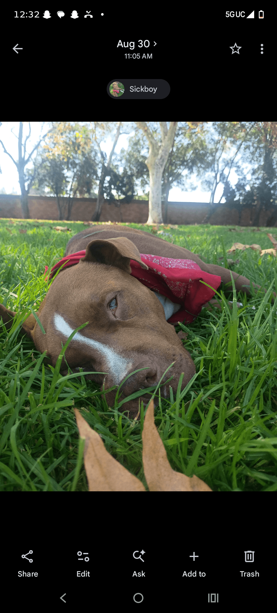 Photo of Miloh
