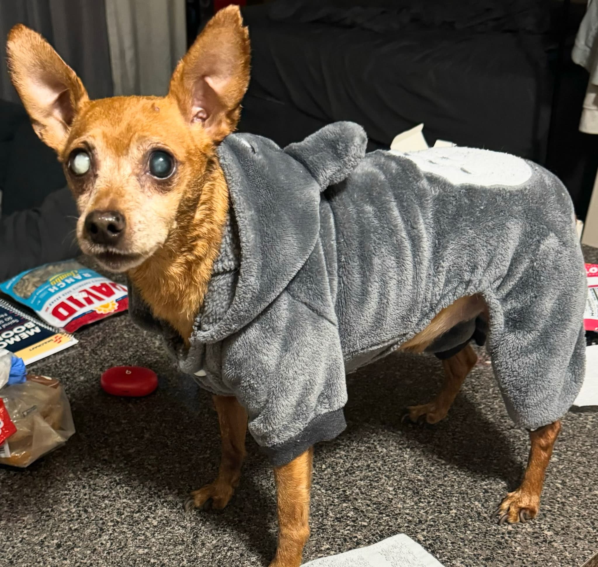 Photo of Bentley
