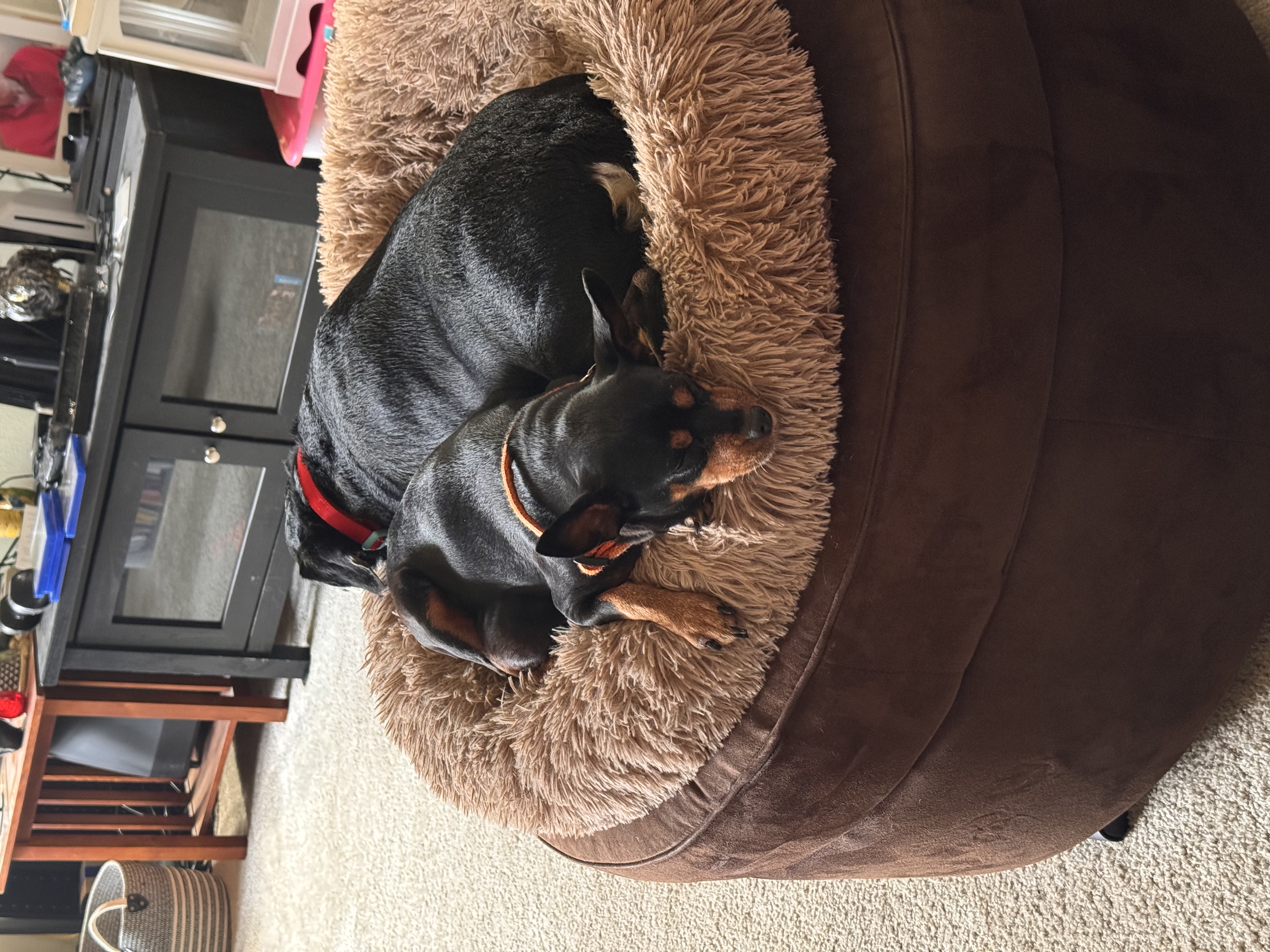 Photo of Jasmine