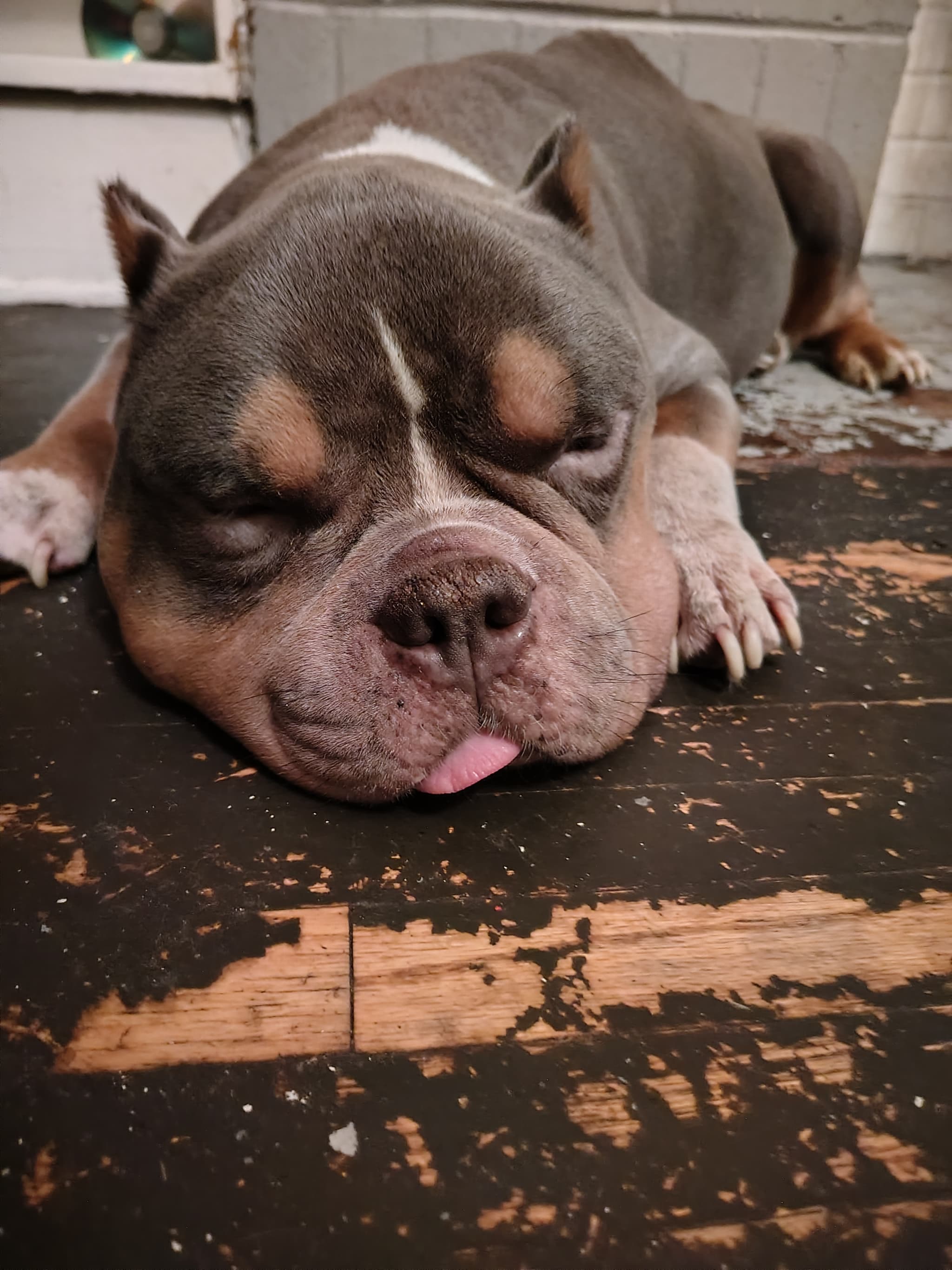 Photo of Frank