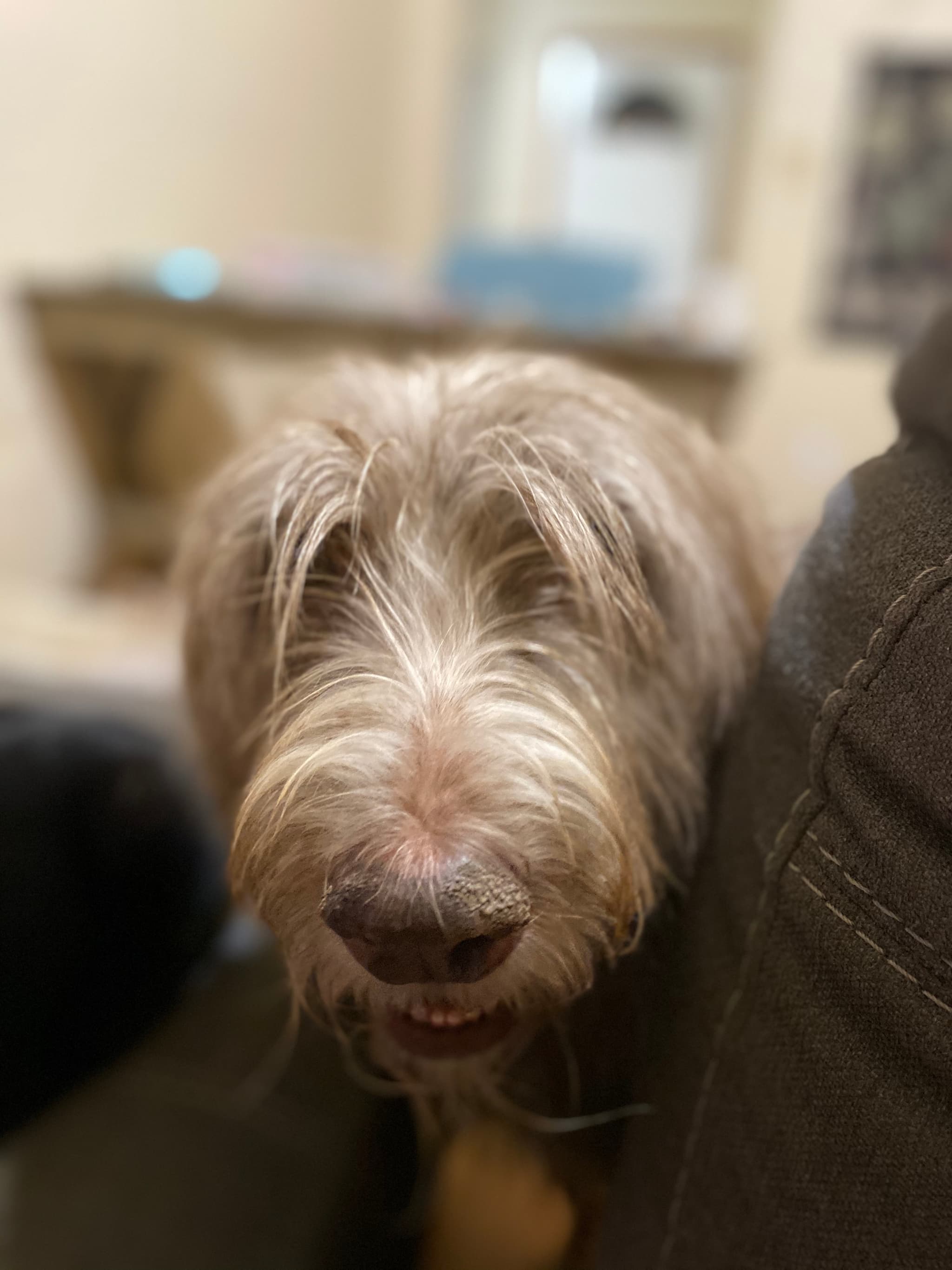 Photo of Phoenix