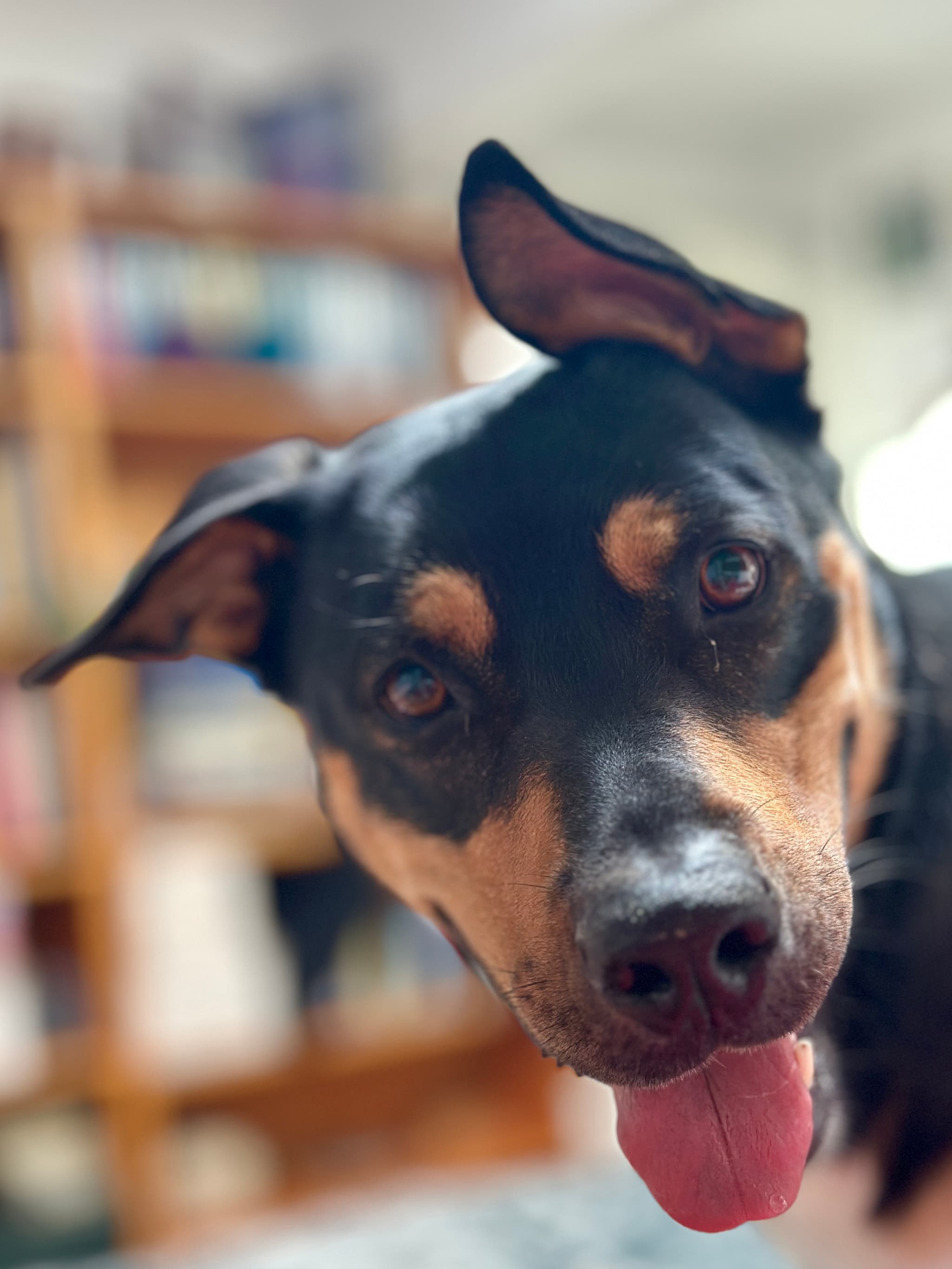 Photo of Lucy