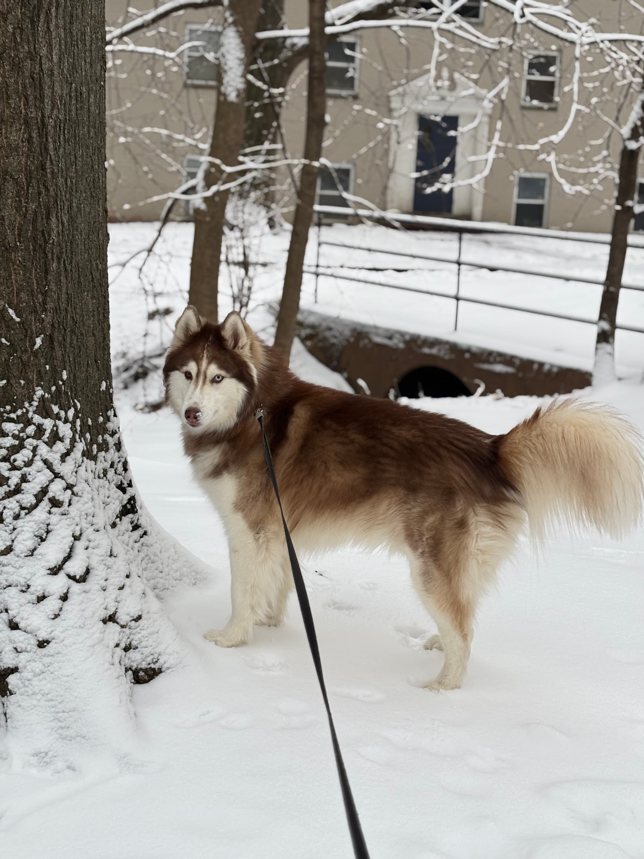 Photo of Hazel Mogada