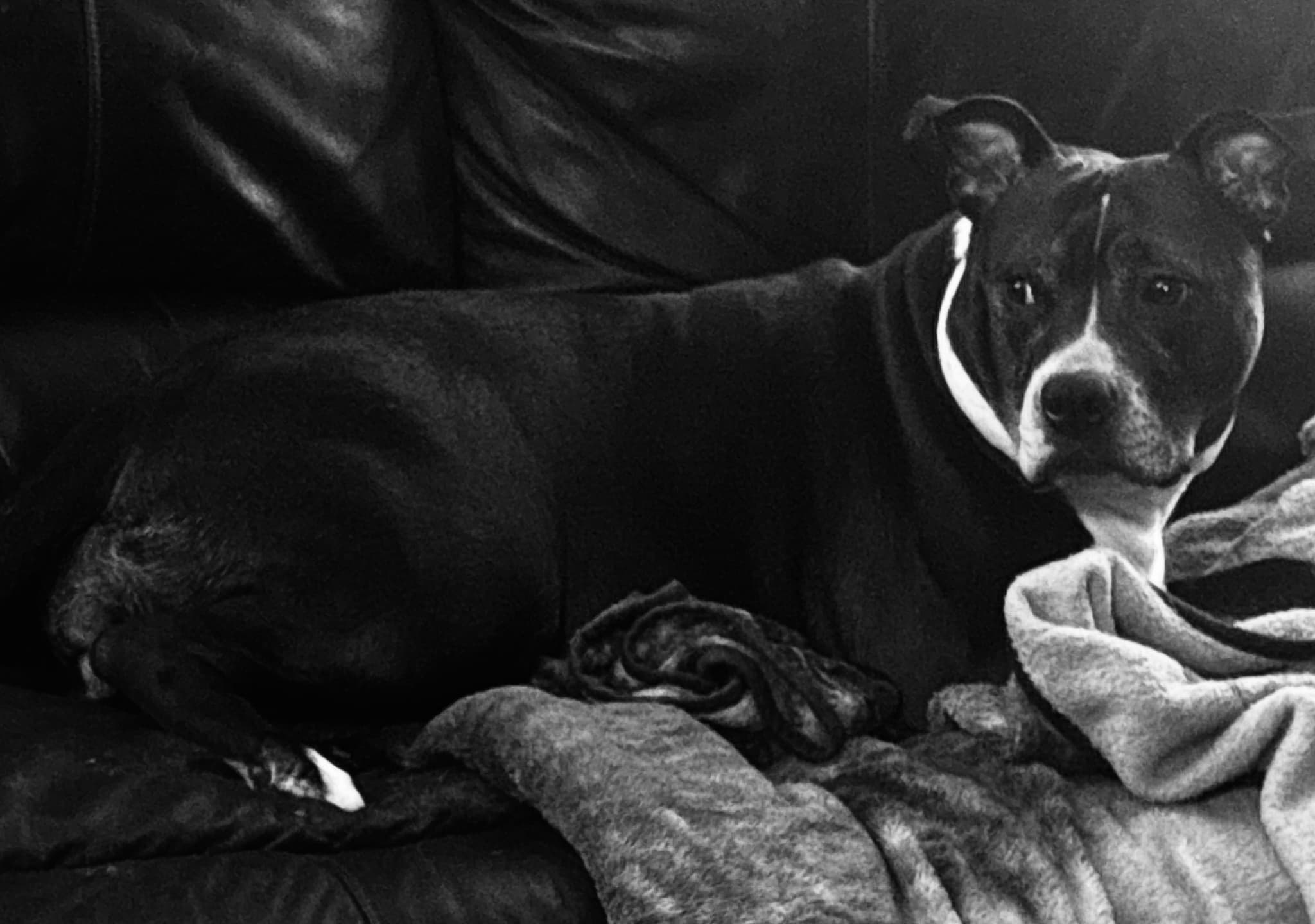 Photo of Macy
