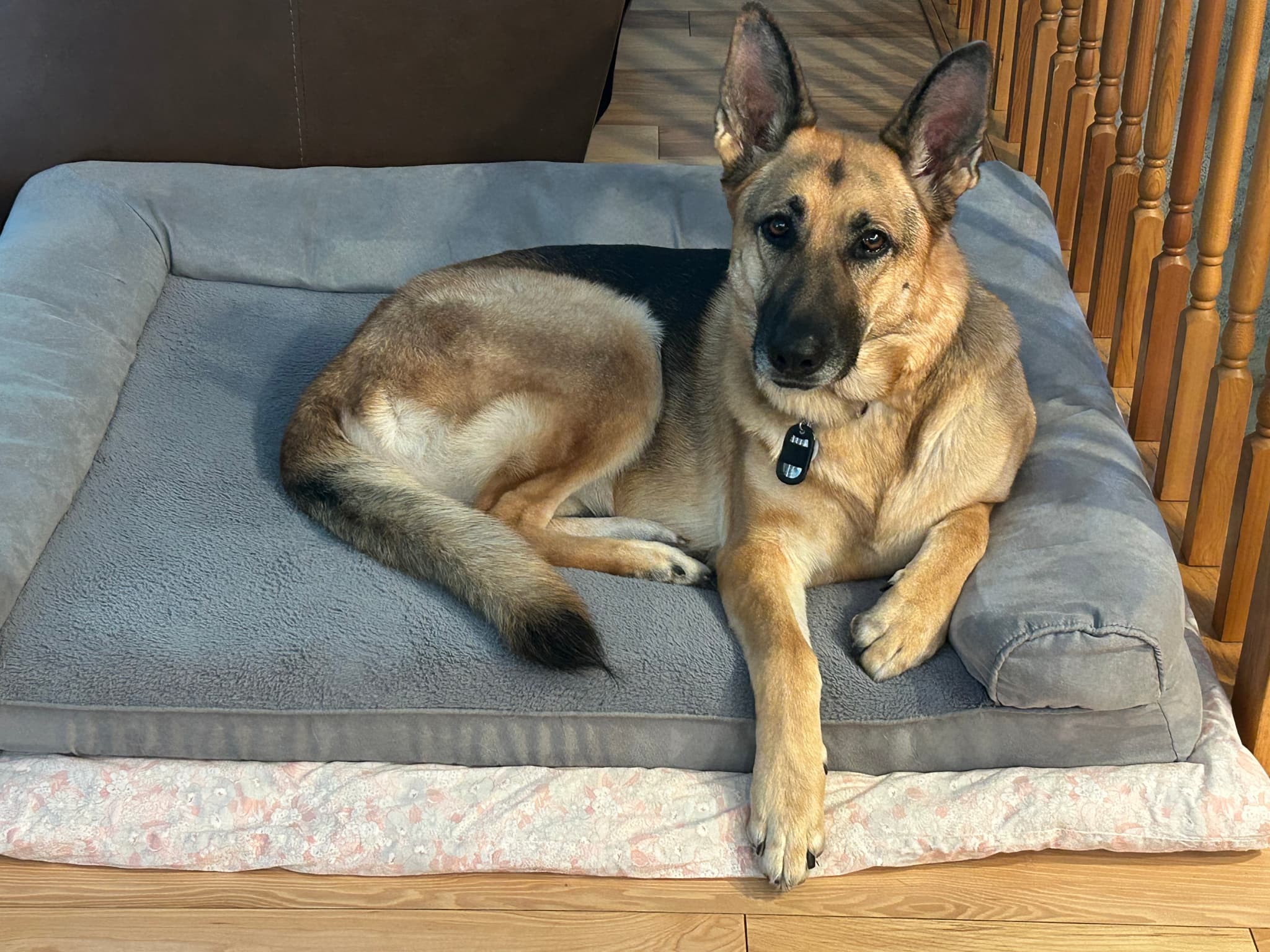 Photo of Macie