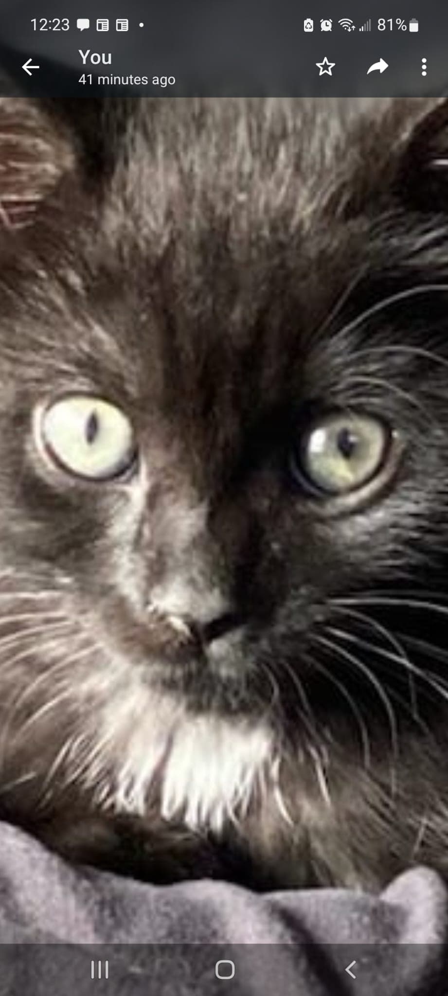 Photo of Salem Prince Betancourt