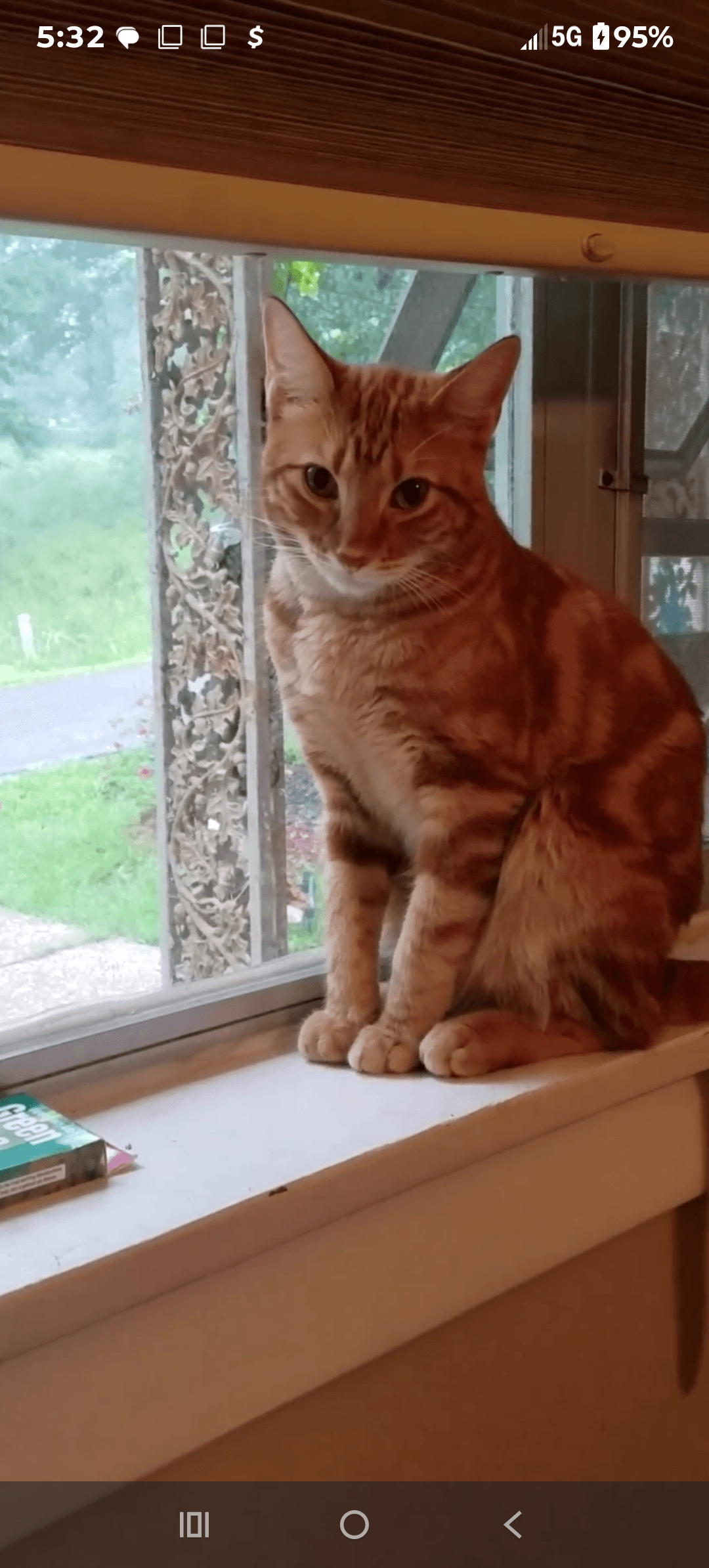 Photo of Felix