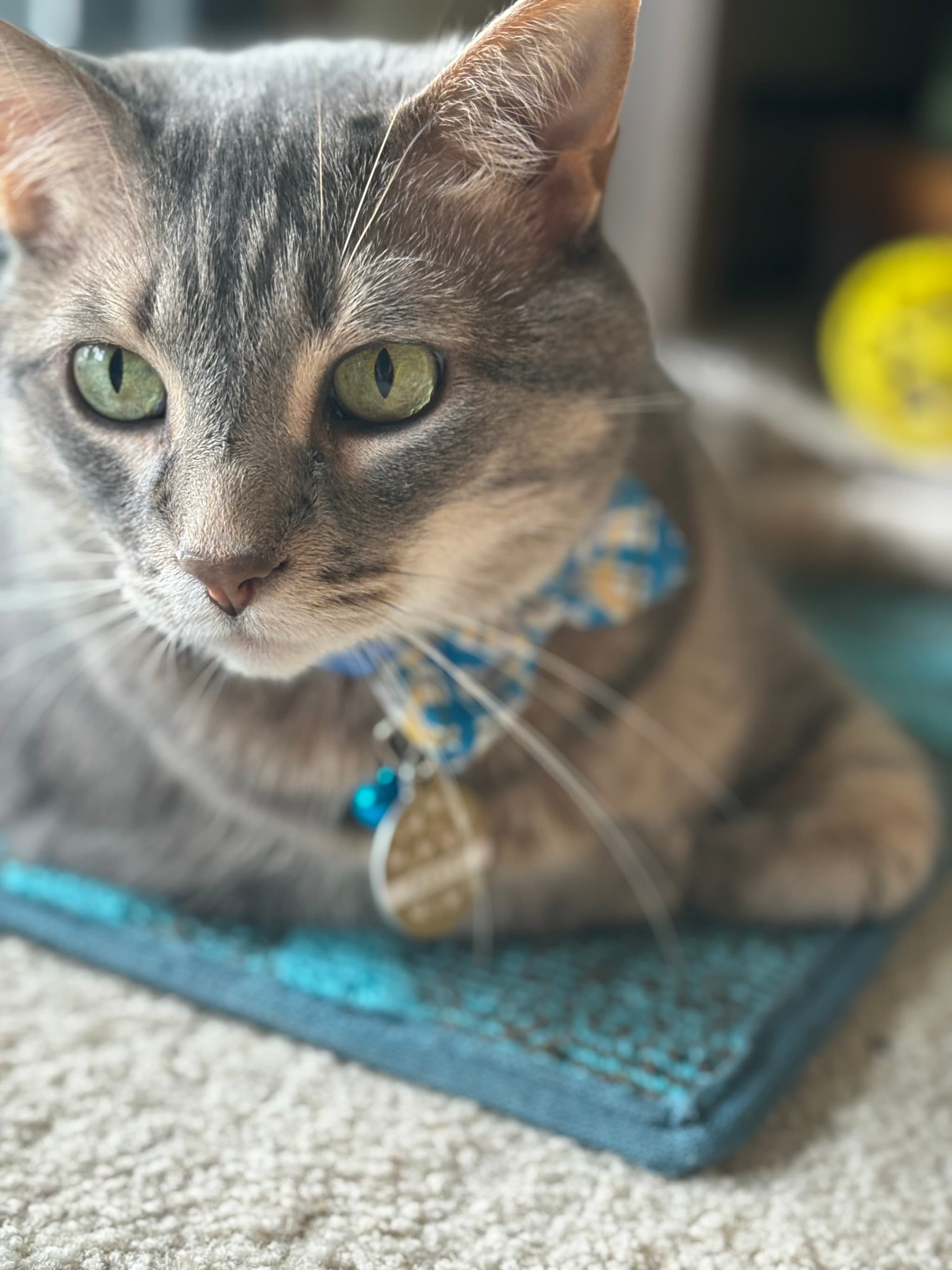Photo of Farty
