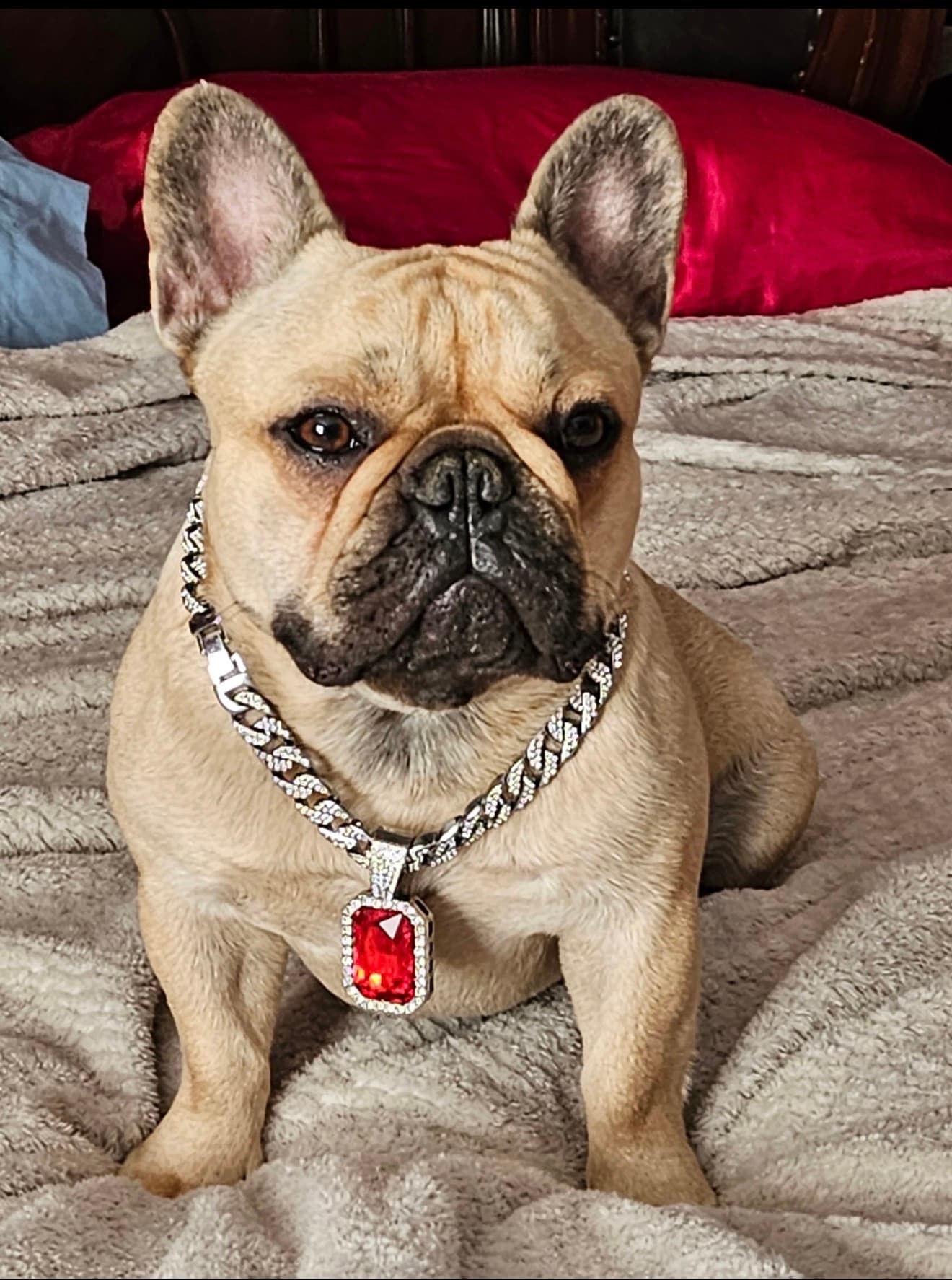 Photo of LB