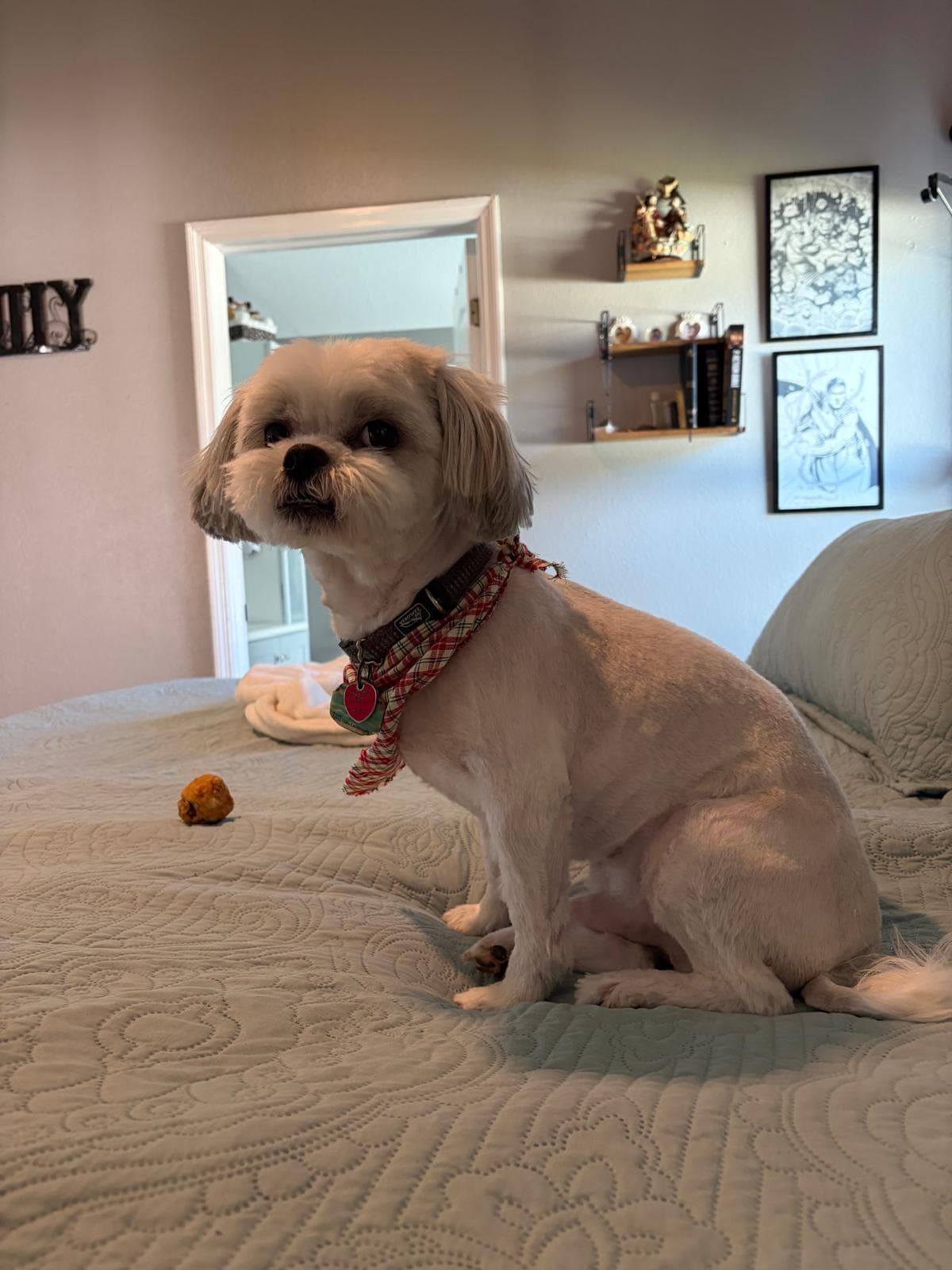 Photo of GORDITO