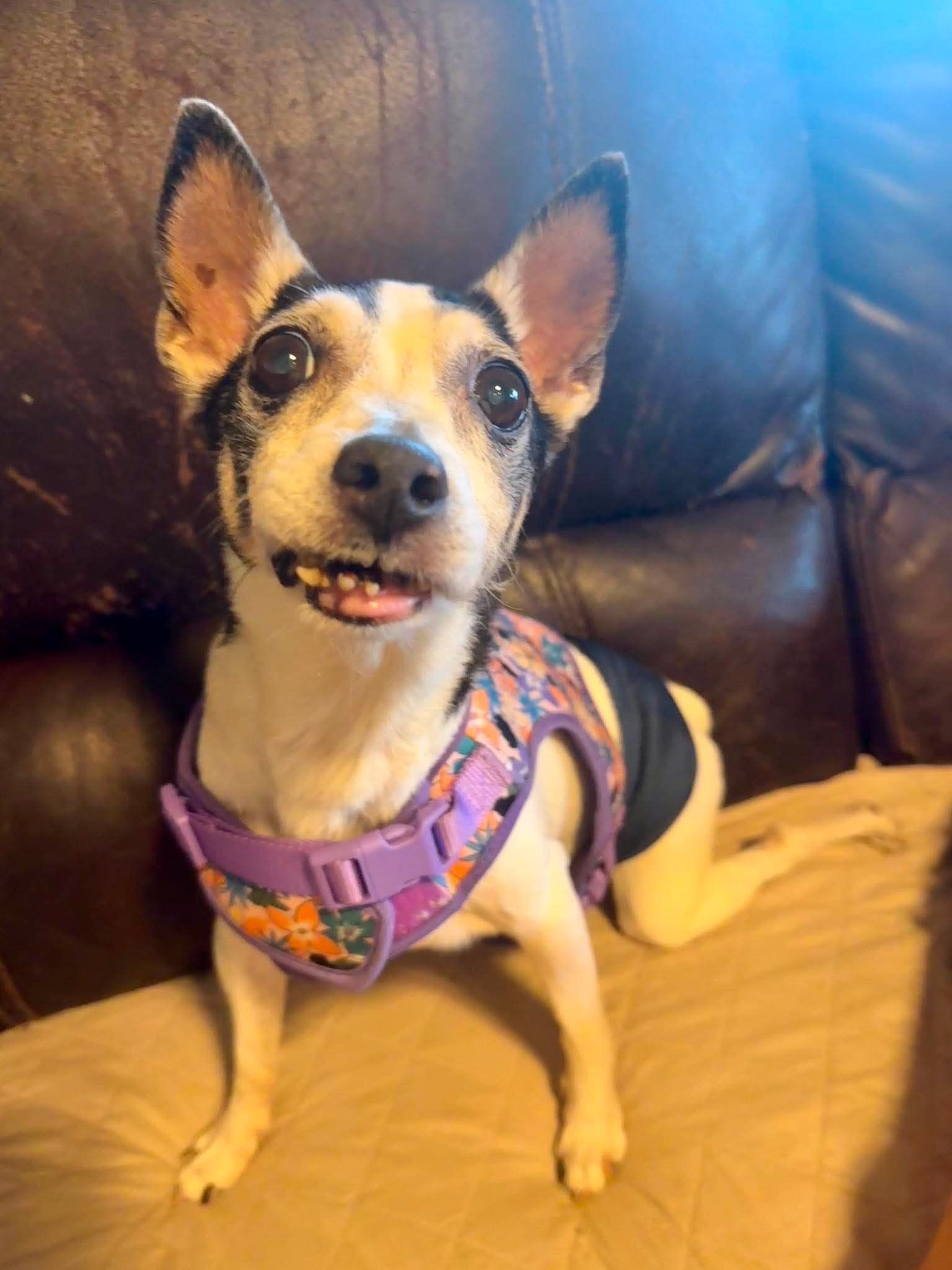 Photo of Walter