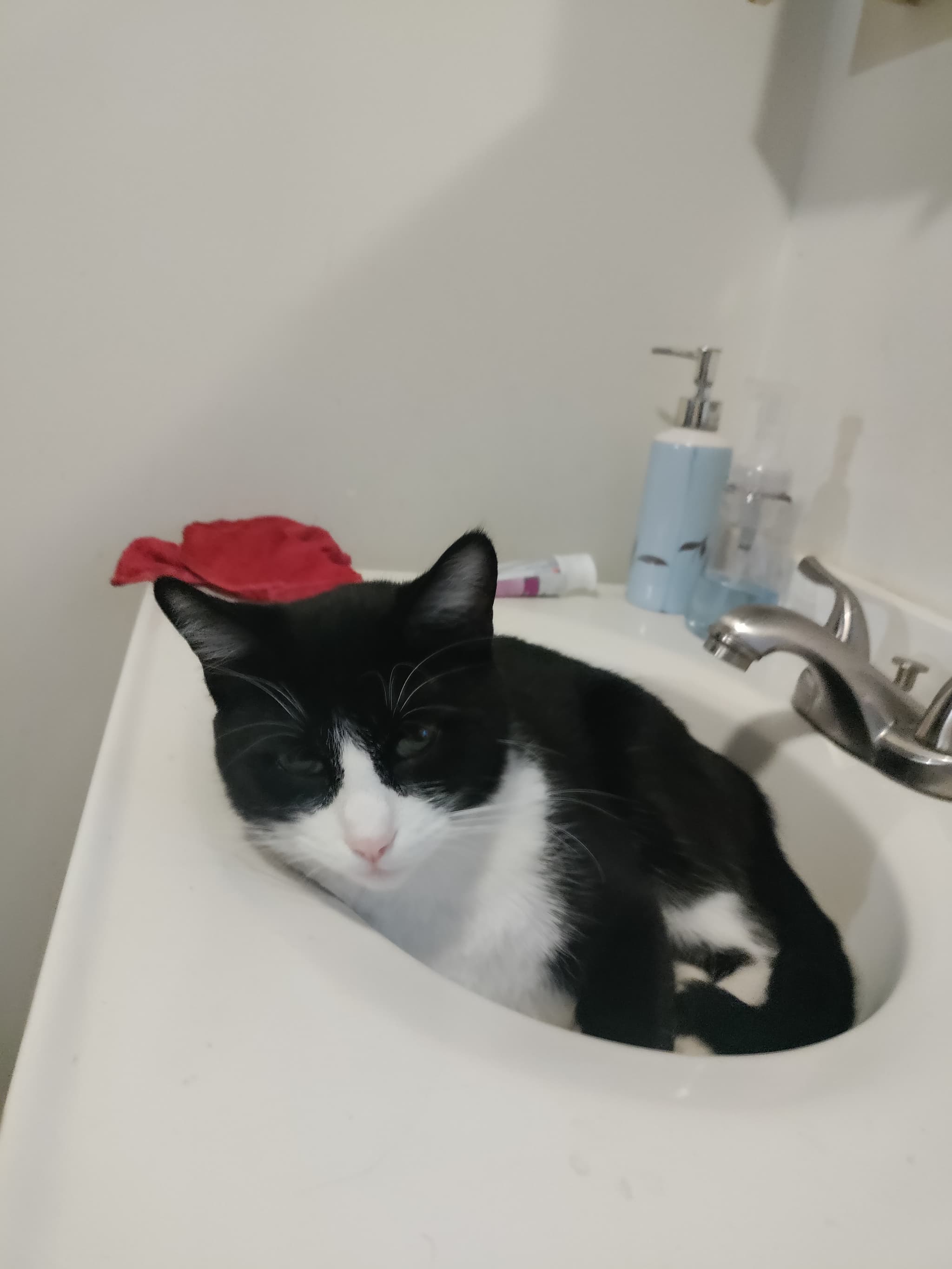 Photo of Moe