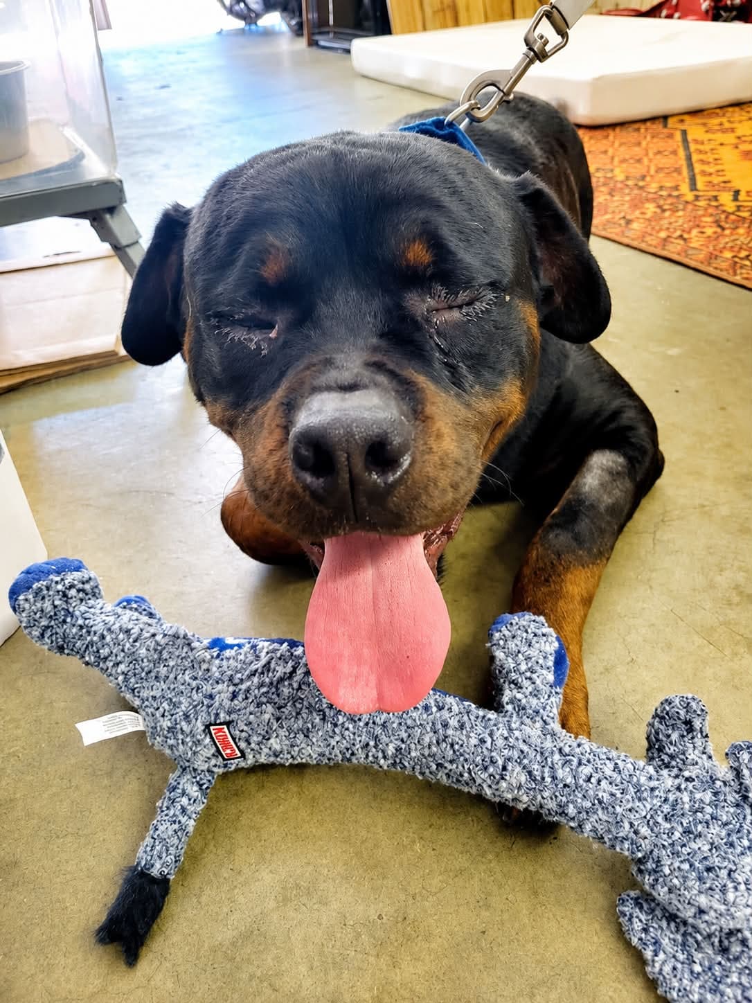Photo of Wally